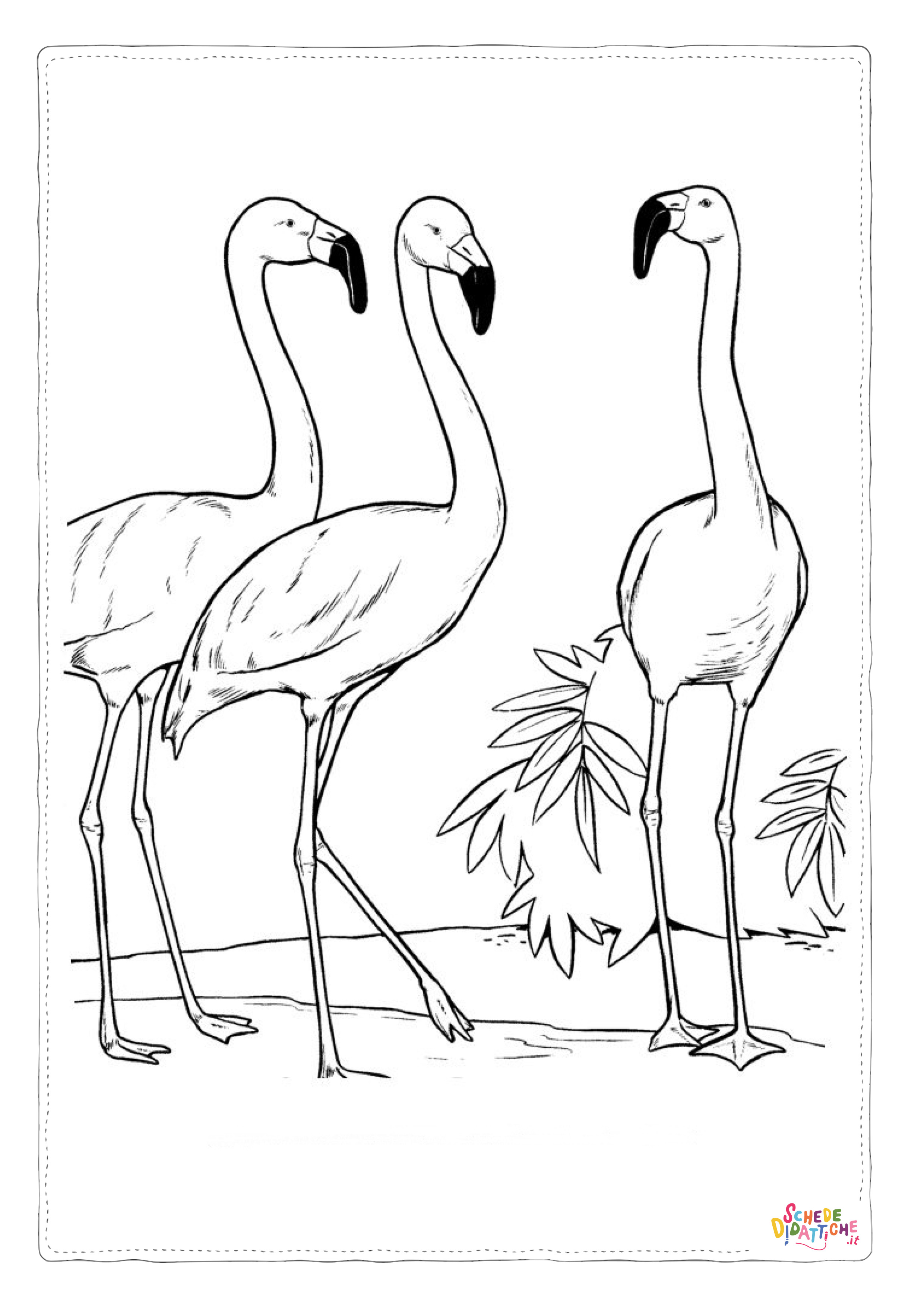 Disegno "Disegno di fenicottero da stampare e colorare 2" Disegno di fenicottero da stampare e colorare 2