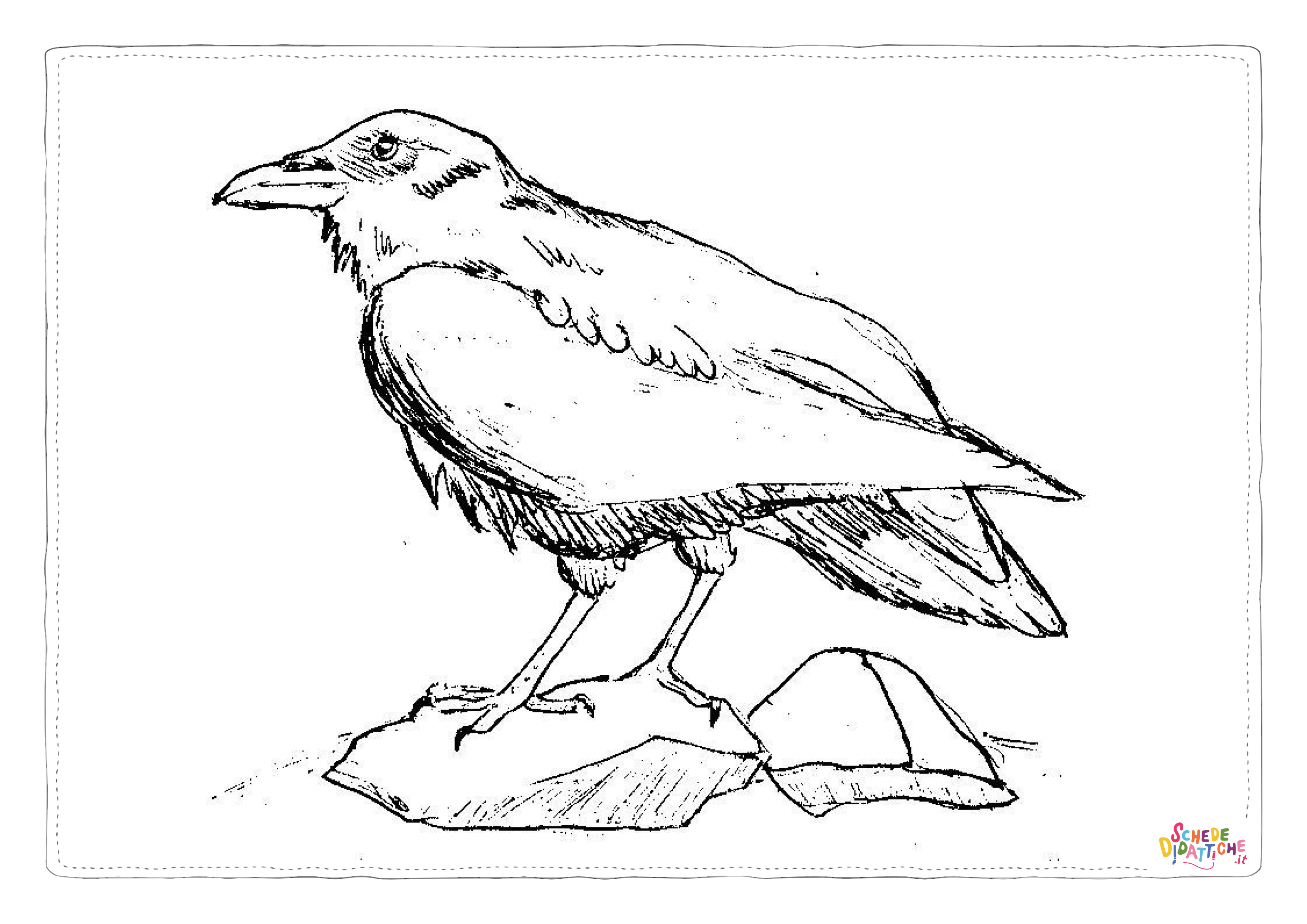 Disegno "Disegno di uccello da stampare e colorare 64" Disegno di uccello da stampare e colorare 64