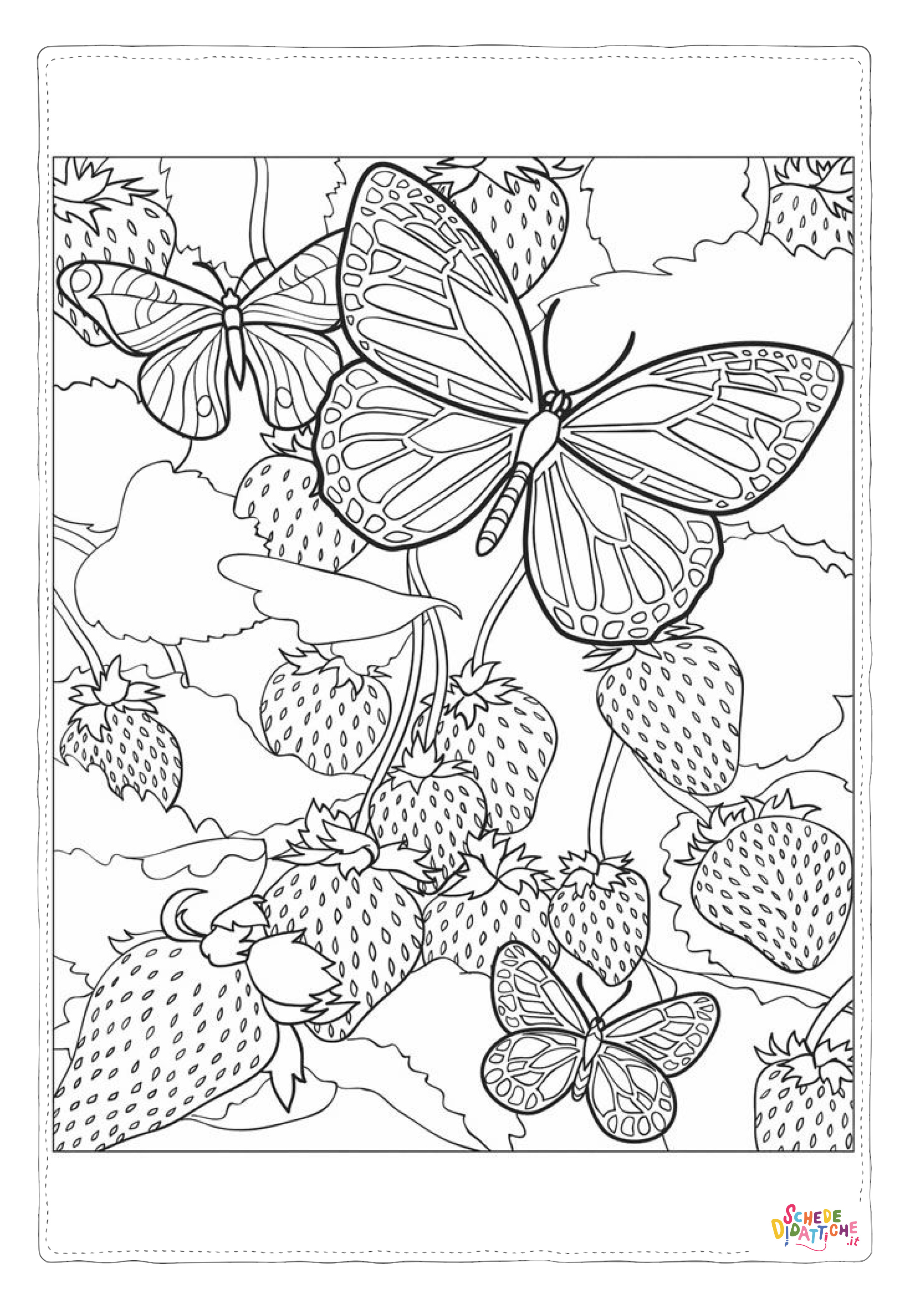 Disegno "Disegno di farfalla da stampare e colorare 162" Disegno di farfalla da stampare e colorare 162