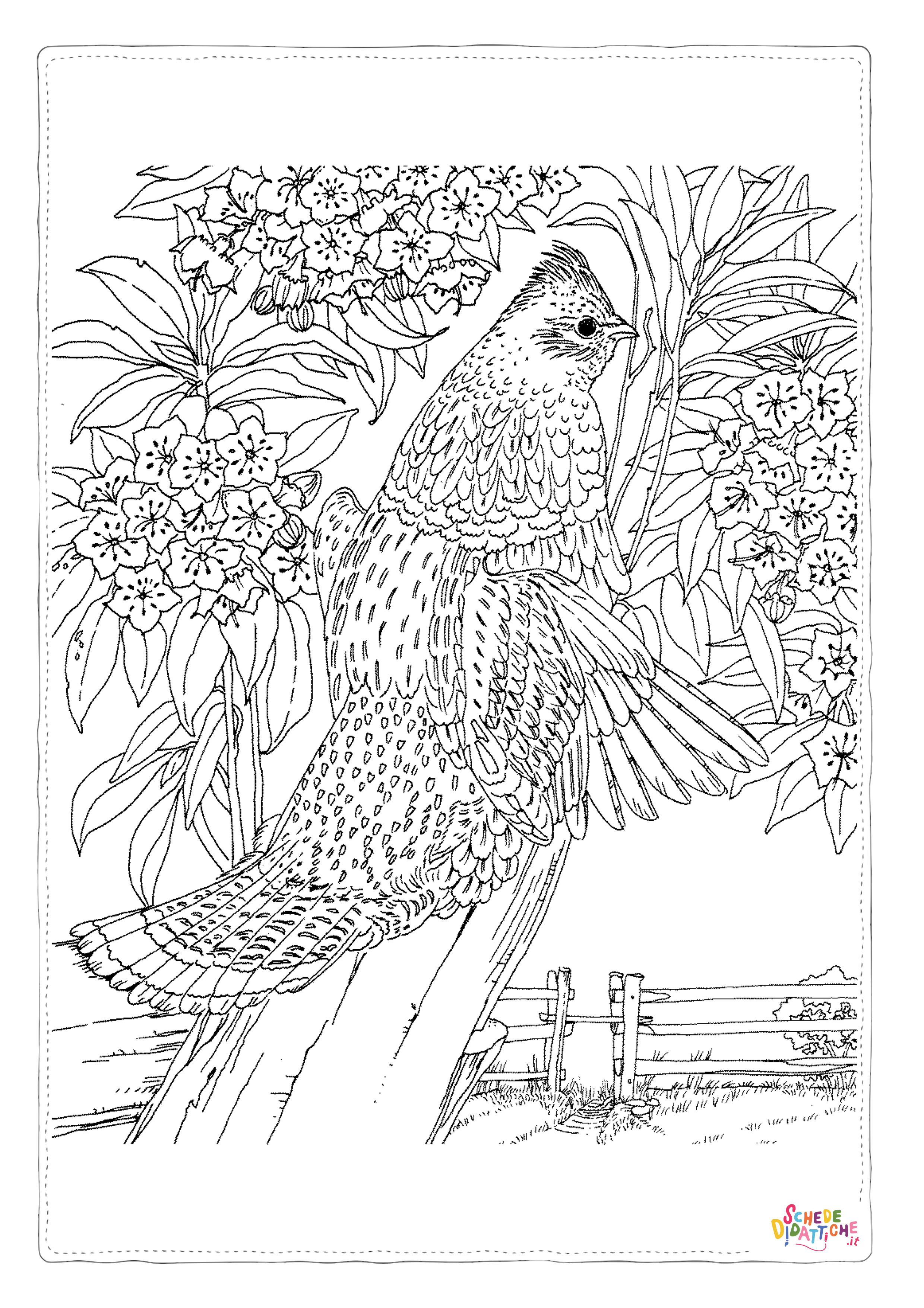Disegno "Disegno di uccello da stampare e colorare 77" Disegno di uccello da stampare e colorare 77