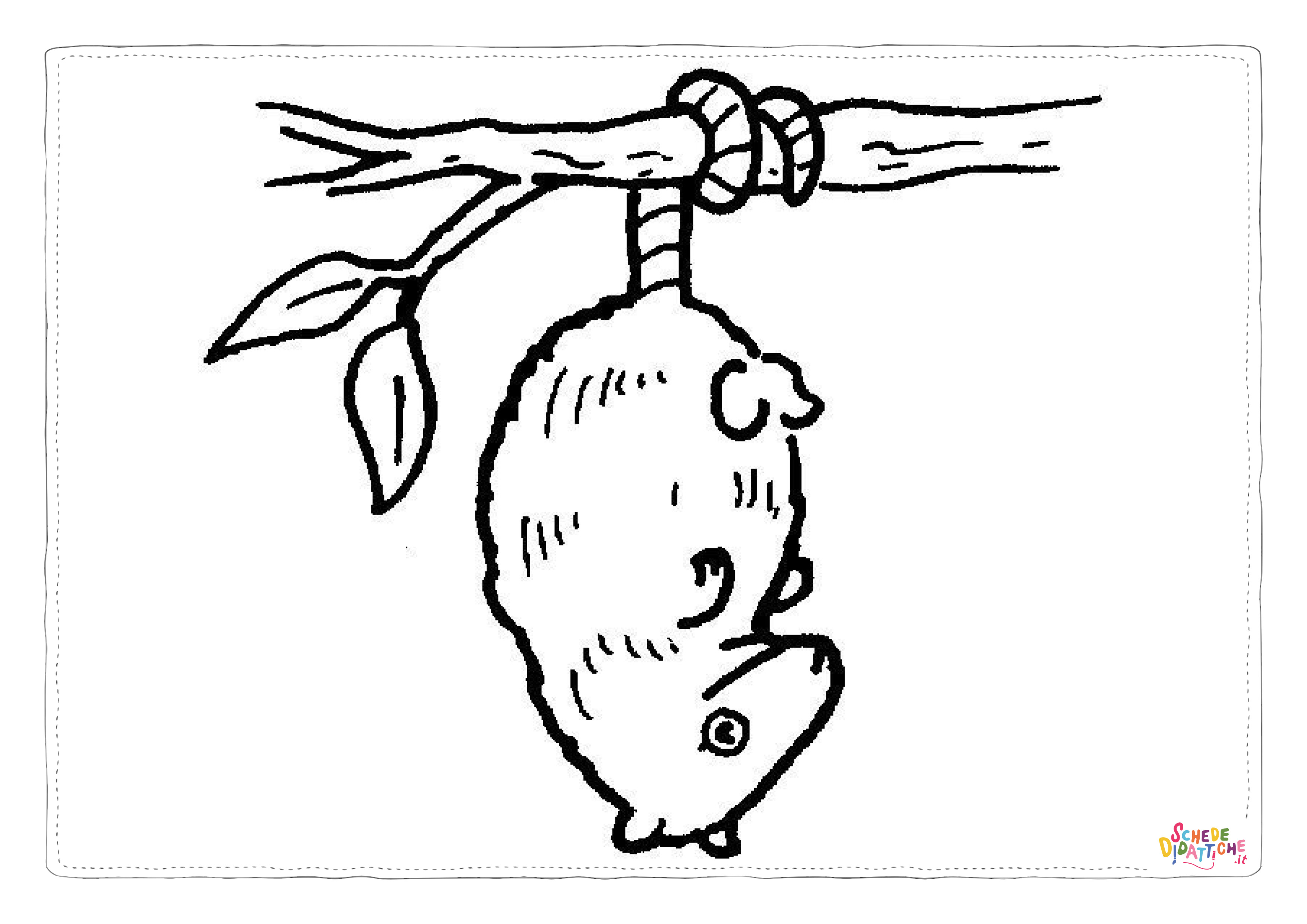 Disegno di opossum da stampare e colorare 8