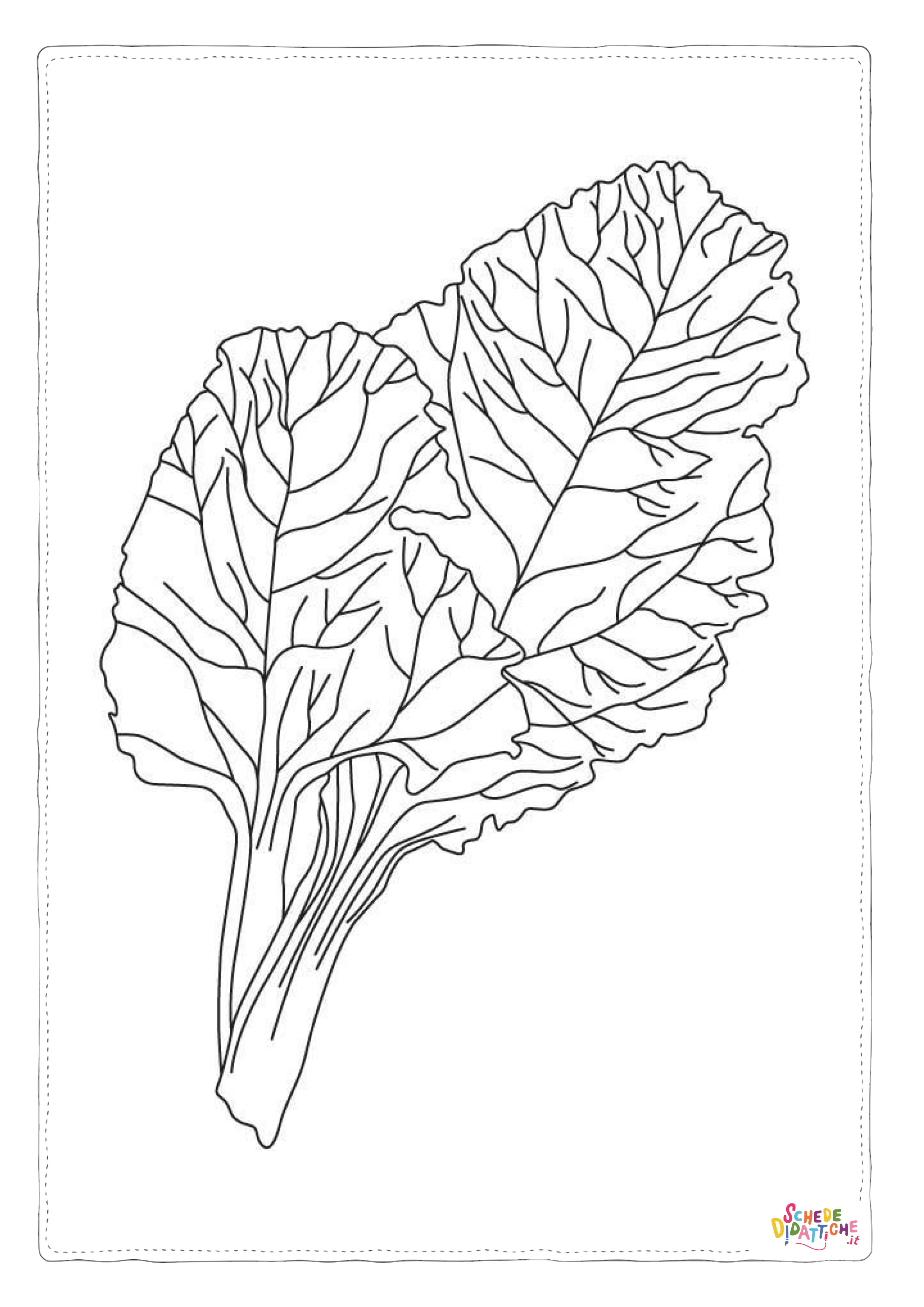 Disegno "Disegno di spinacio da stampare e colorare" Disegno di spinacio da stampare e colorare