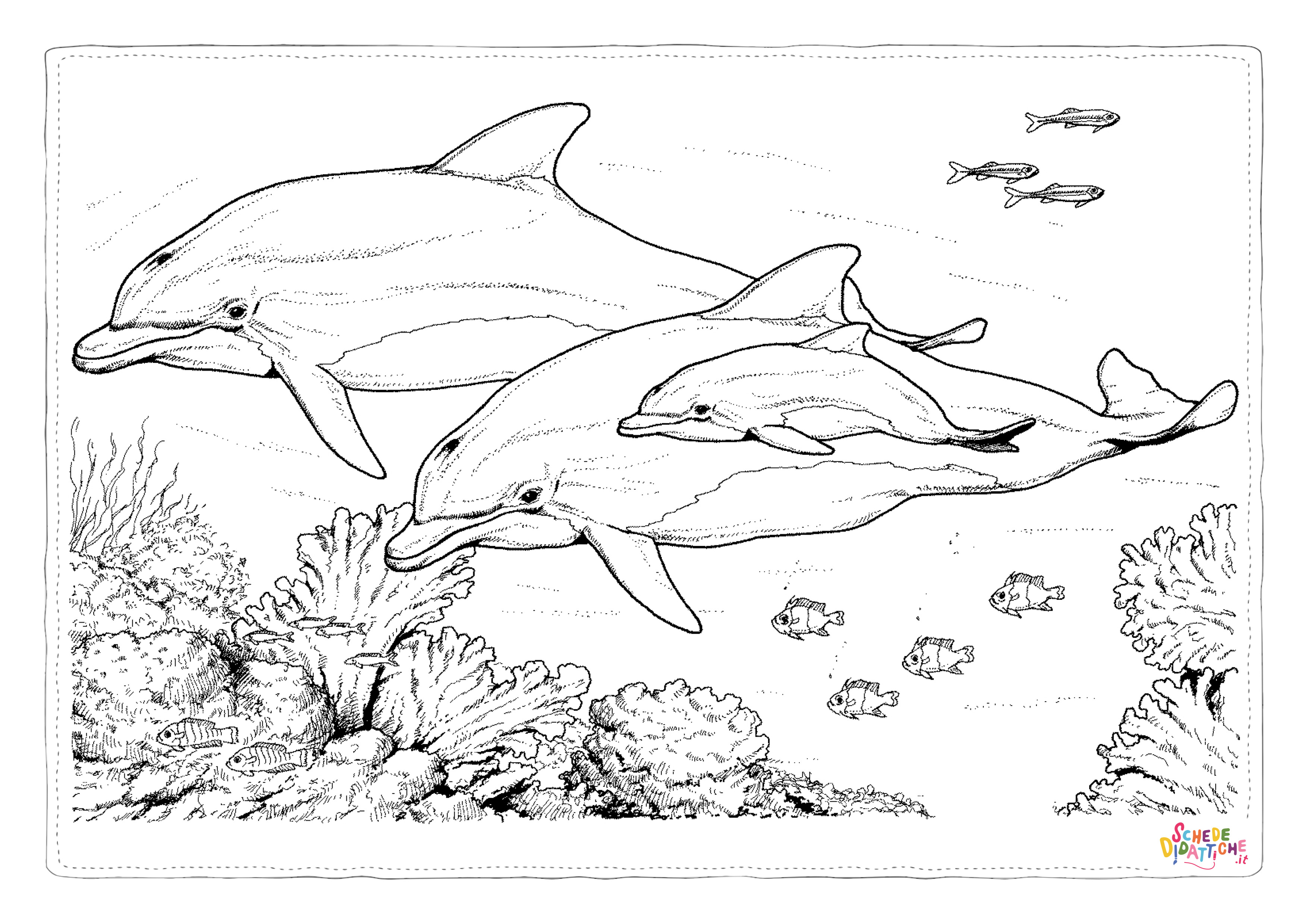 Disegno "Disegno di delfino da stampare e colorare 63" Disegno di delfino da stampare e colorare 63