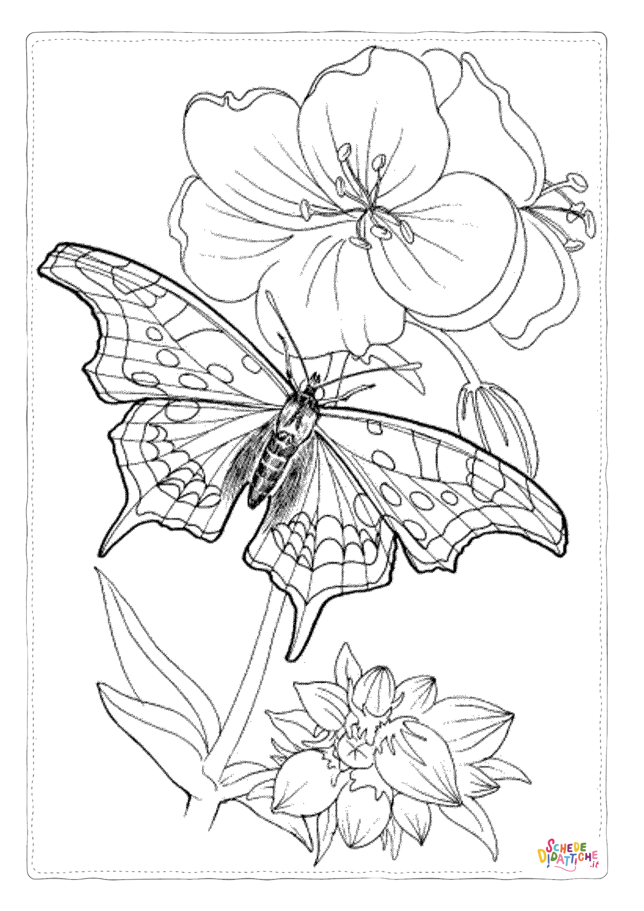 Disegno "Disegno di farfalla da stampare e colorare 101" Disegno di farfalla da stampare e colorare 101