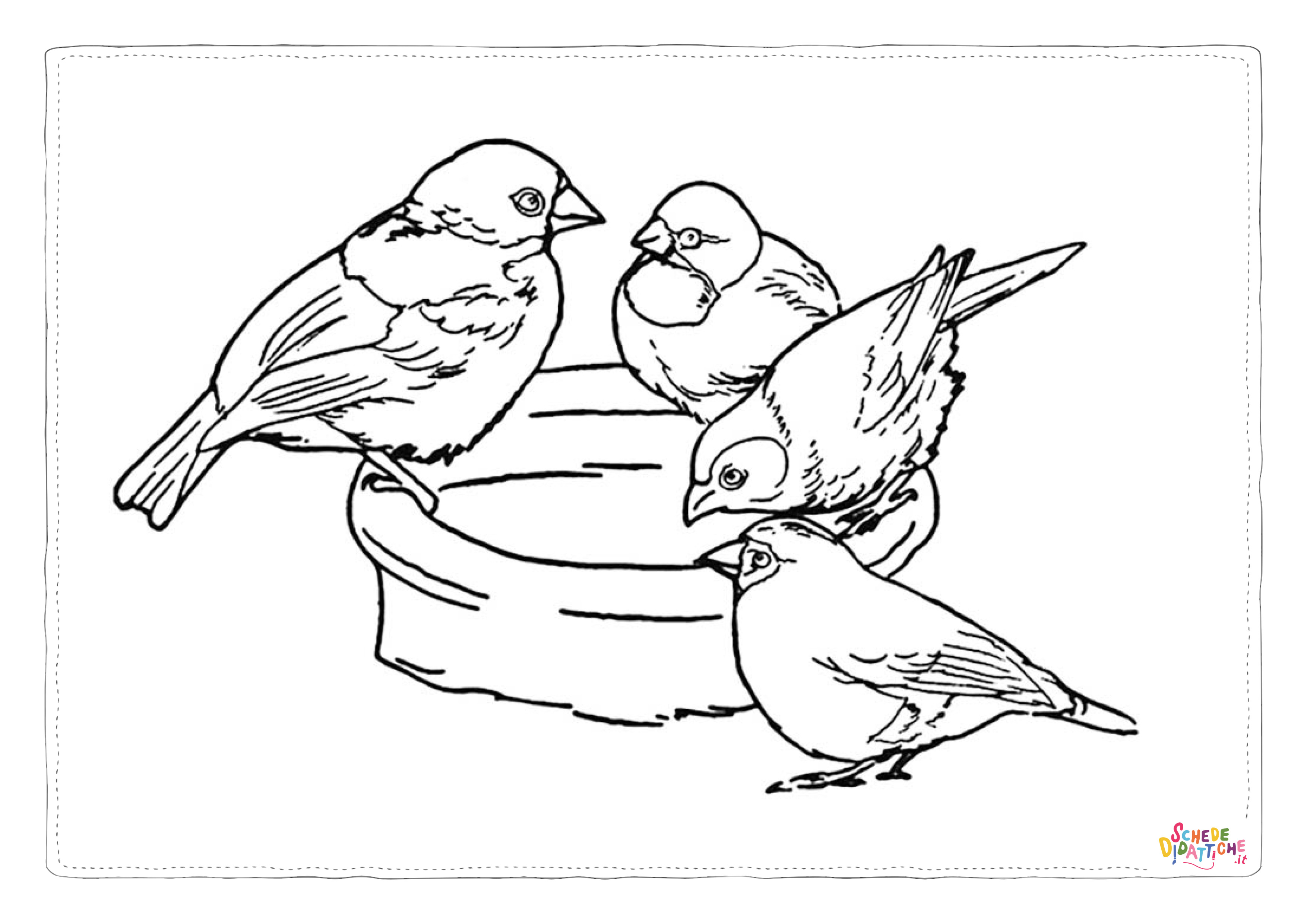Disegno di passero da stampare e colorare 18