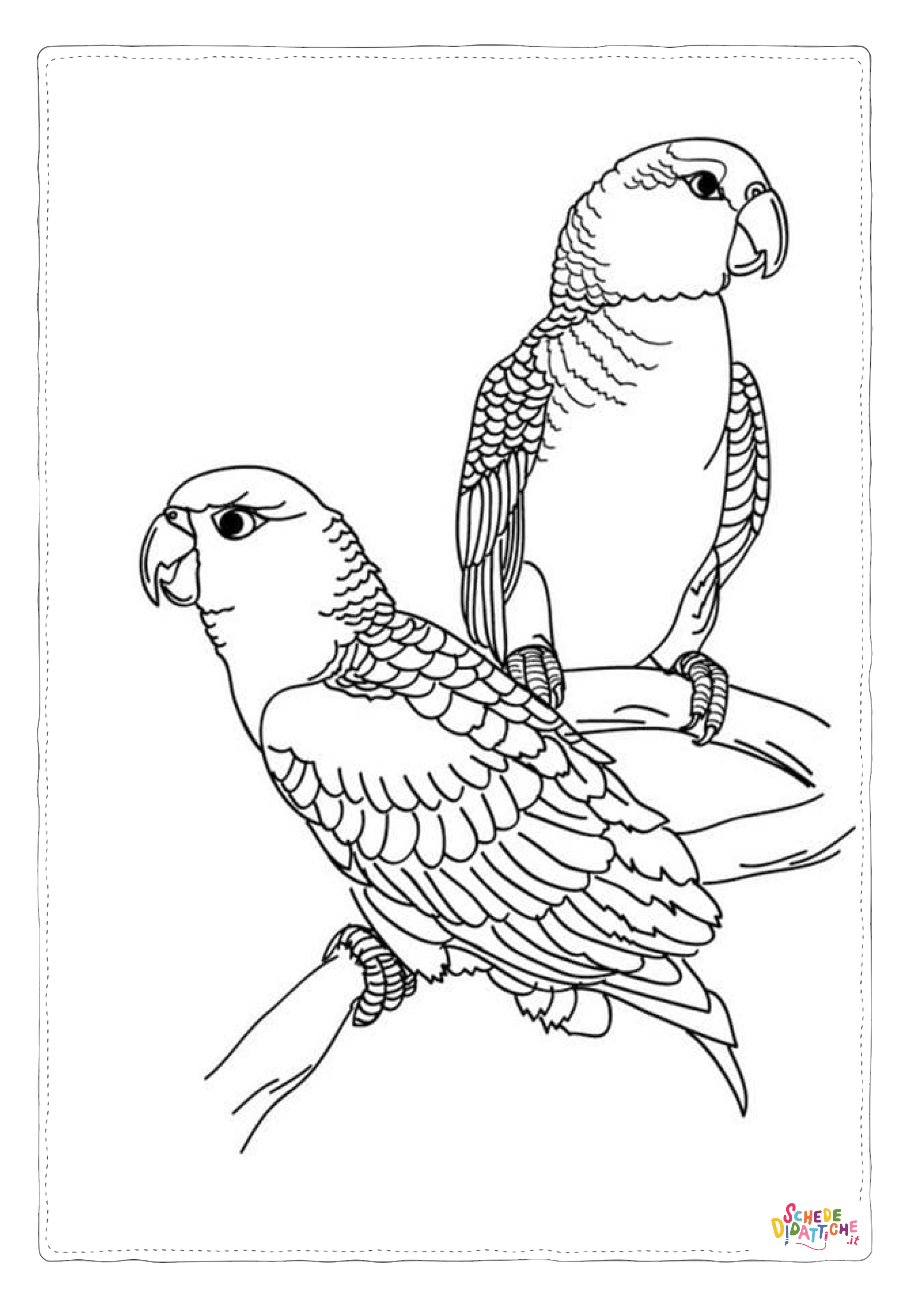 Disegno "Disegno di pappagallo da stampare e colorare 62" Disegno di pappagallo da stampare e colorare 62