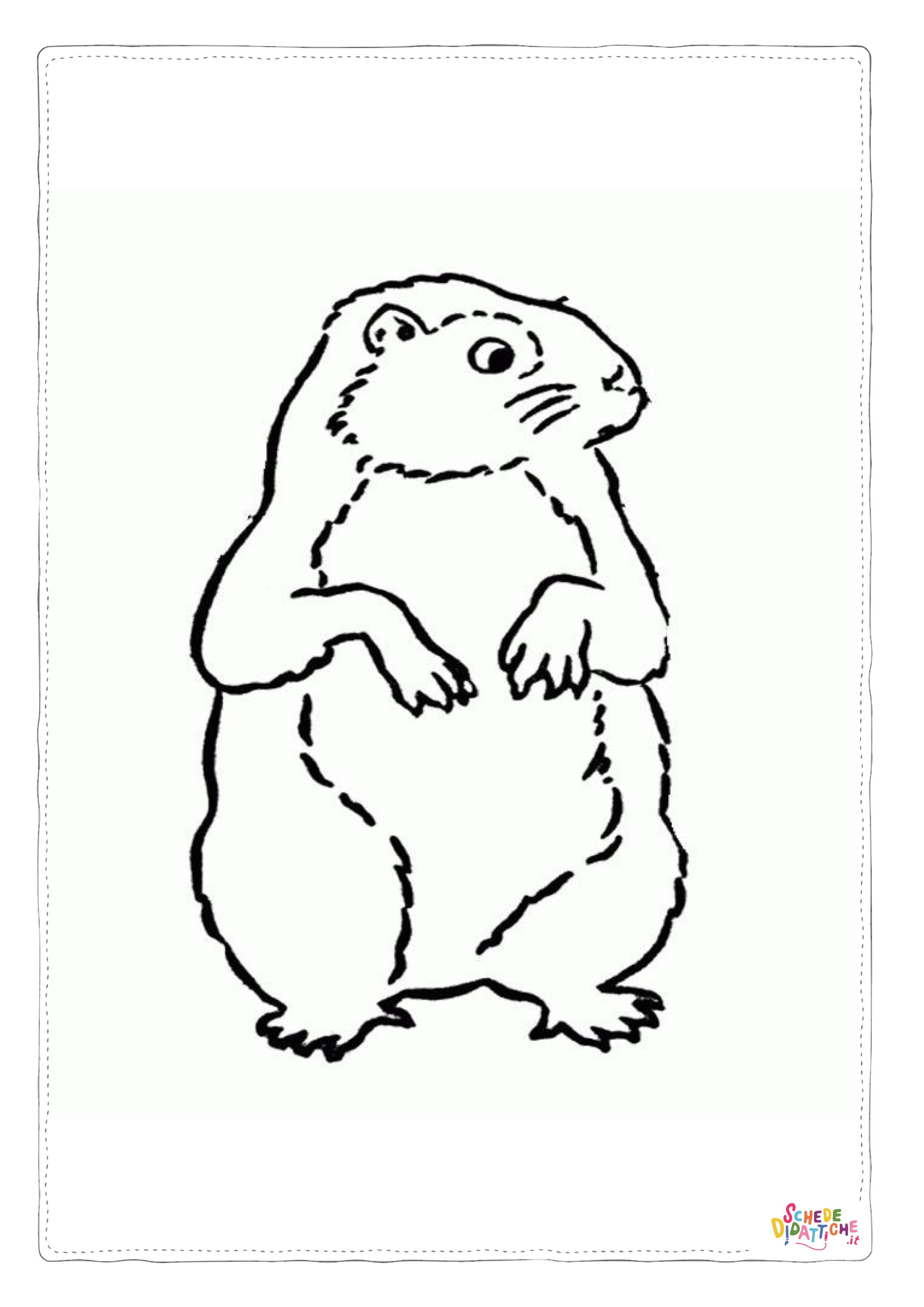 Disegno di marmotta da stampare e colorare 1