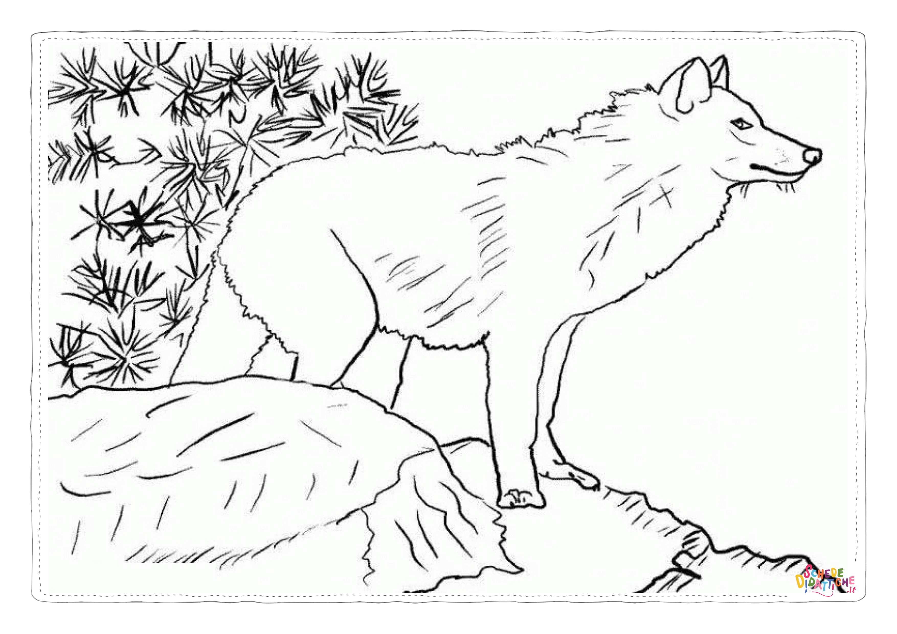 Disegno di lupo da stampare e colorare 21