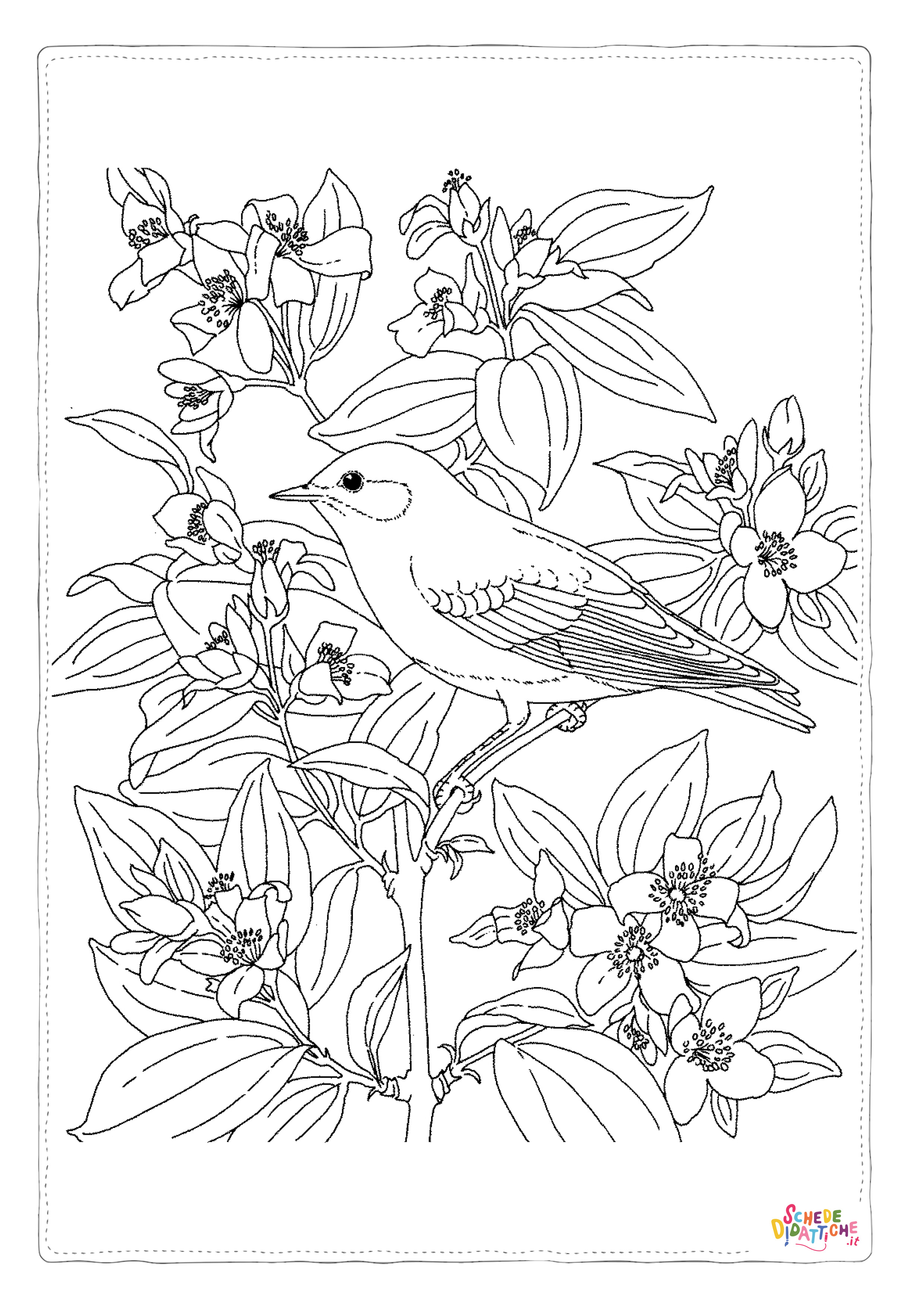 Disegno "Disegno di passero da stampare e colorare 63" Disegno di passero da stampare e colorare 63