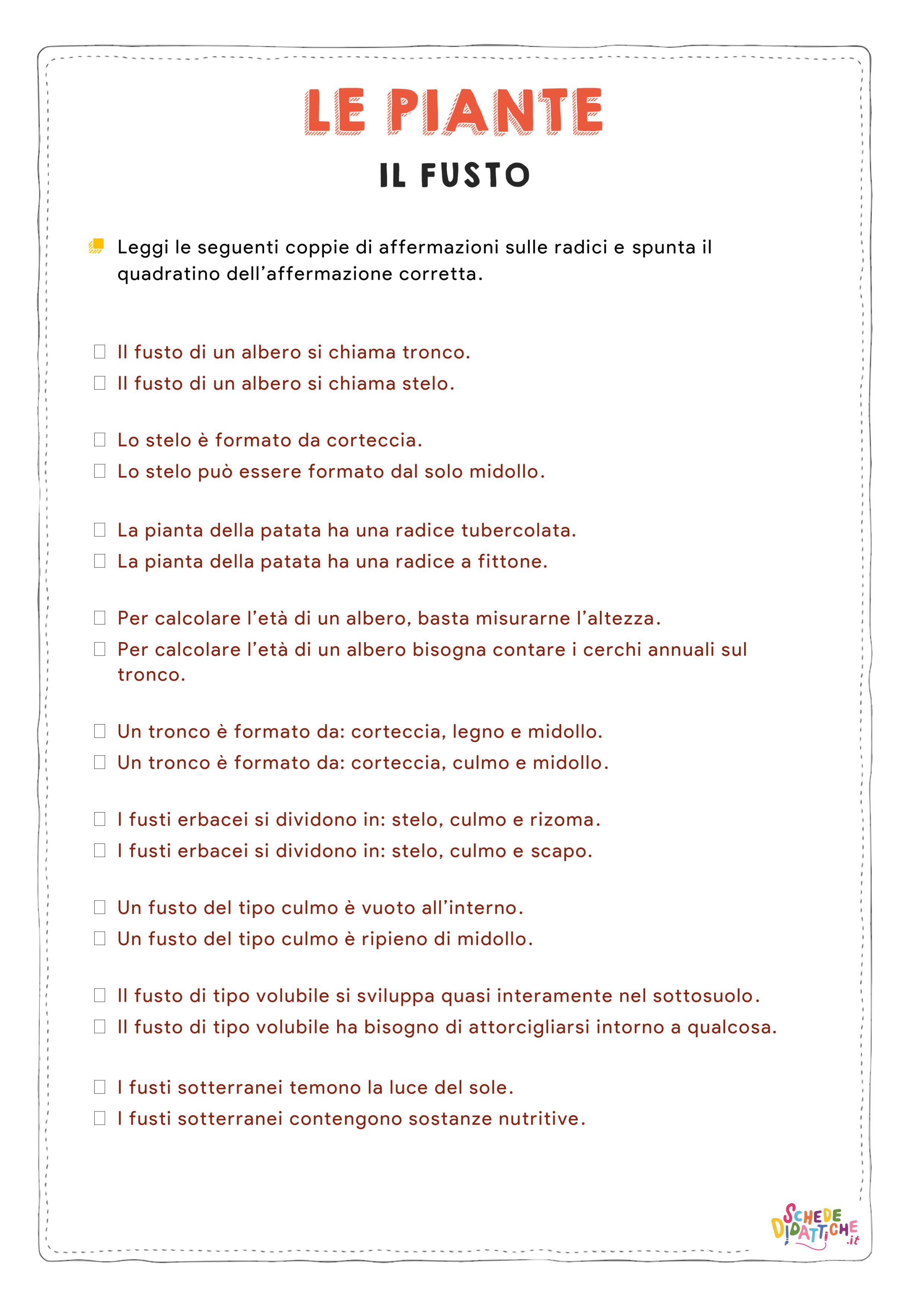 Disegno "Le piante - il fusto - Verifica" Le piante - il fusto - Verifica