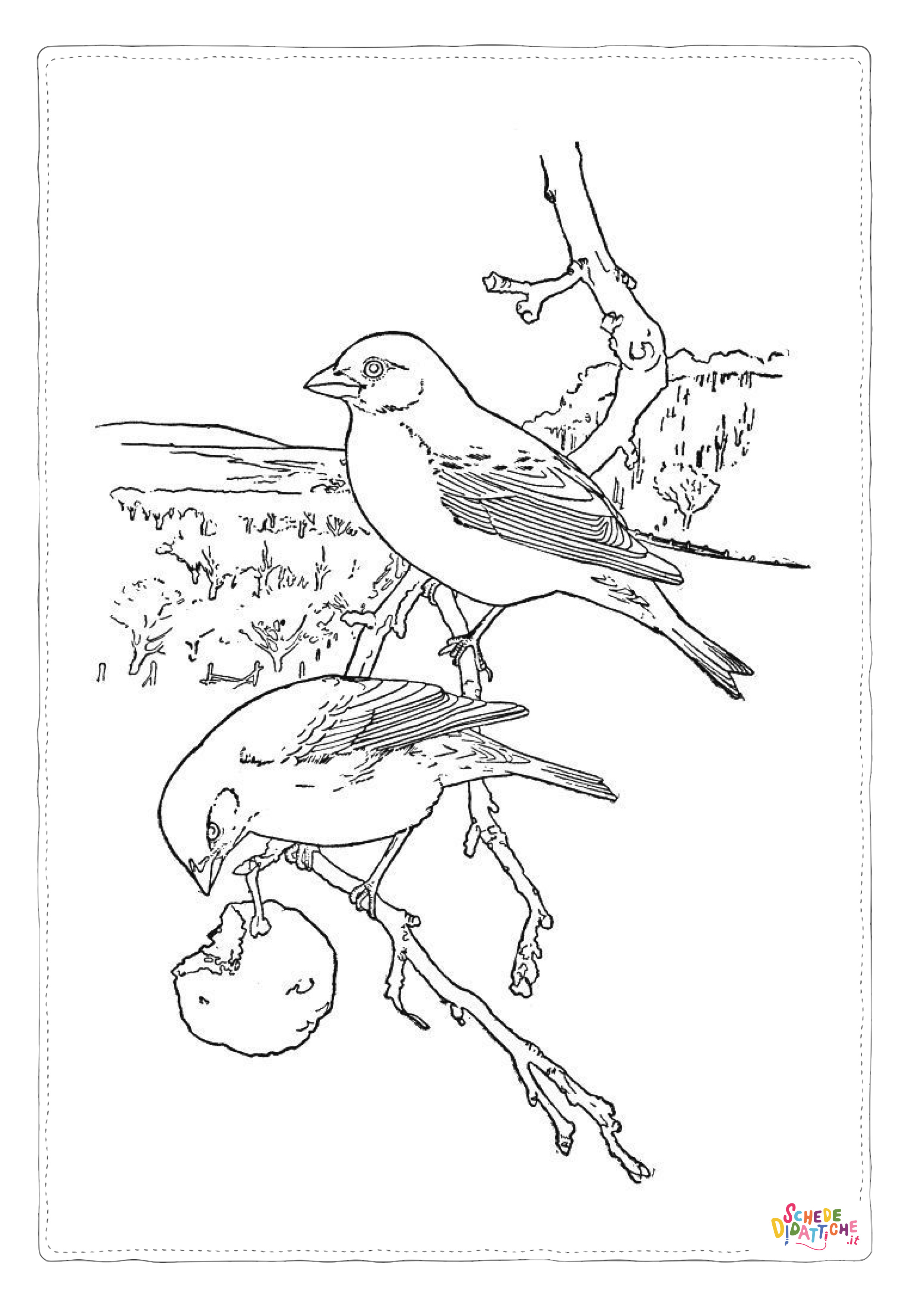 Disegno "Disegno di passero da stampare e colorare 57" Disegno di passero da stampare e colorare 57