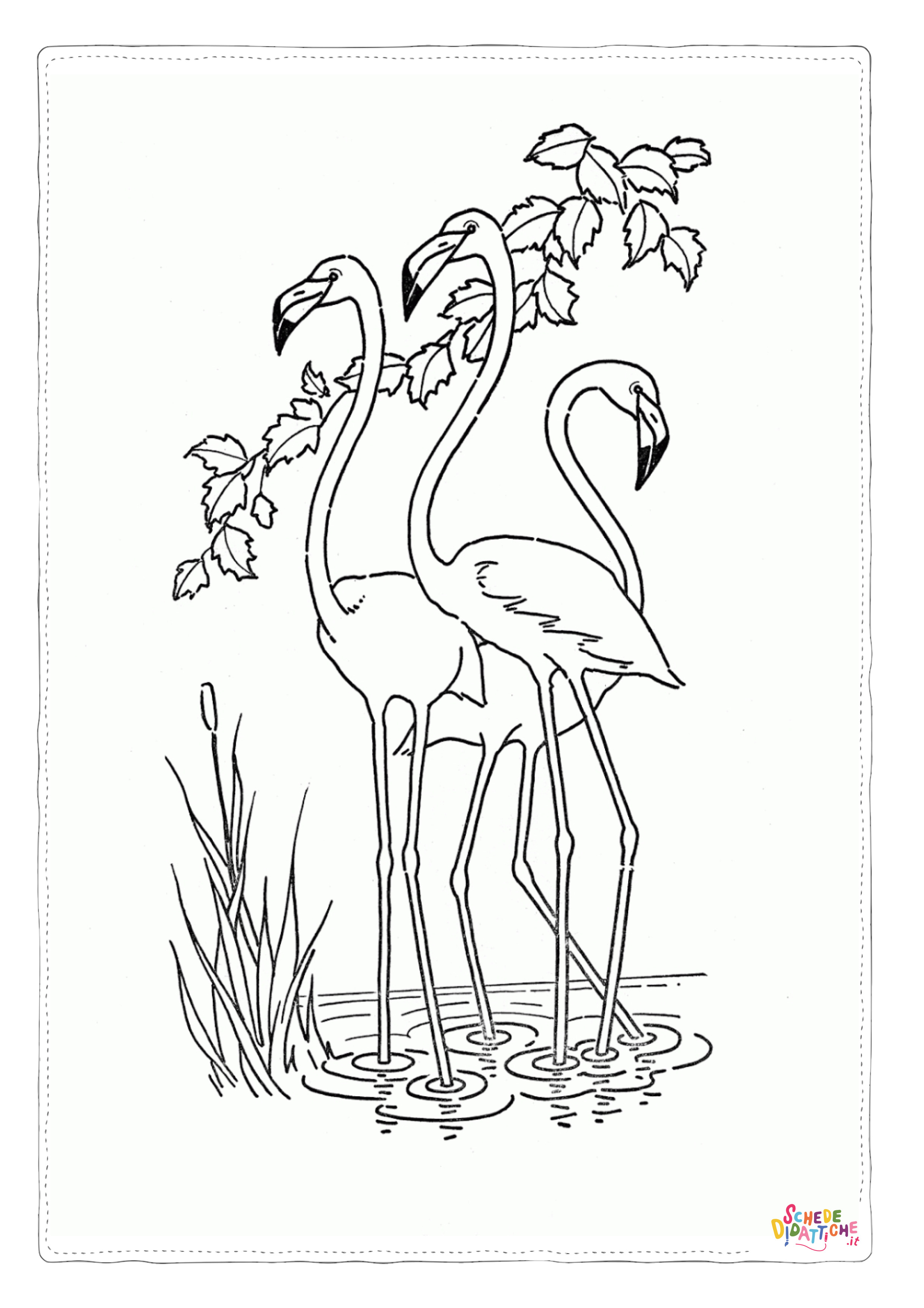 Disegno di fenicottero da stampare e colorare