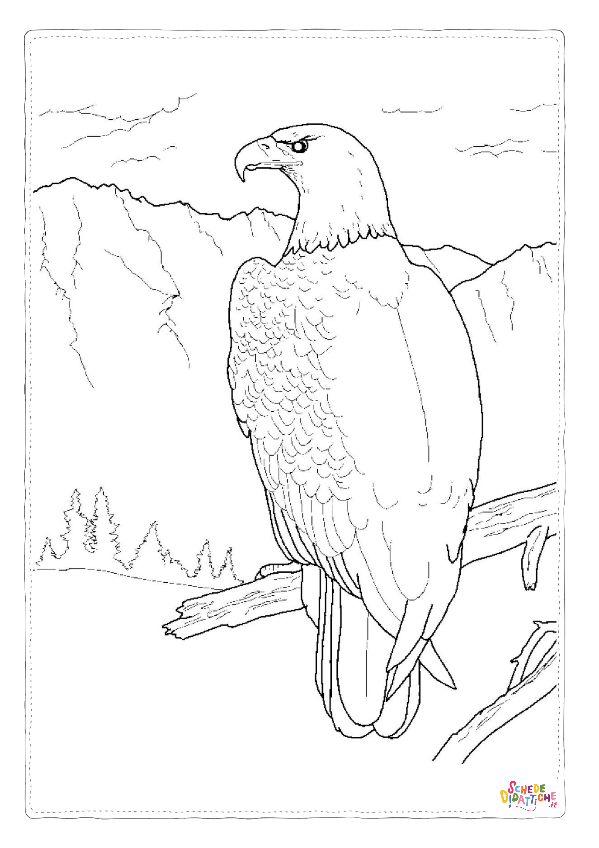 Disegno di aquila da stampare e colorare 17