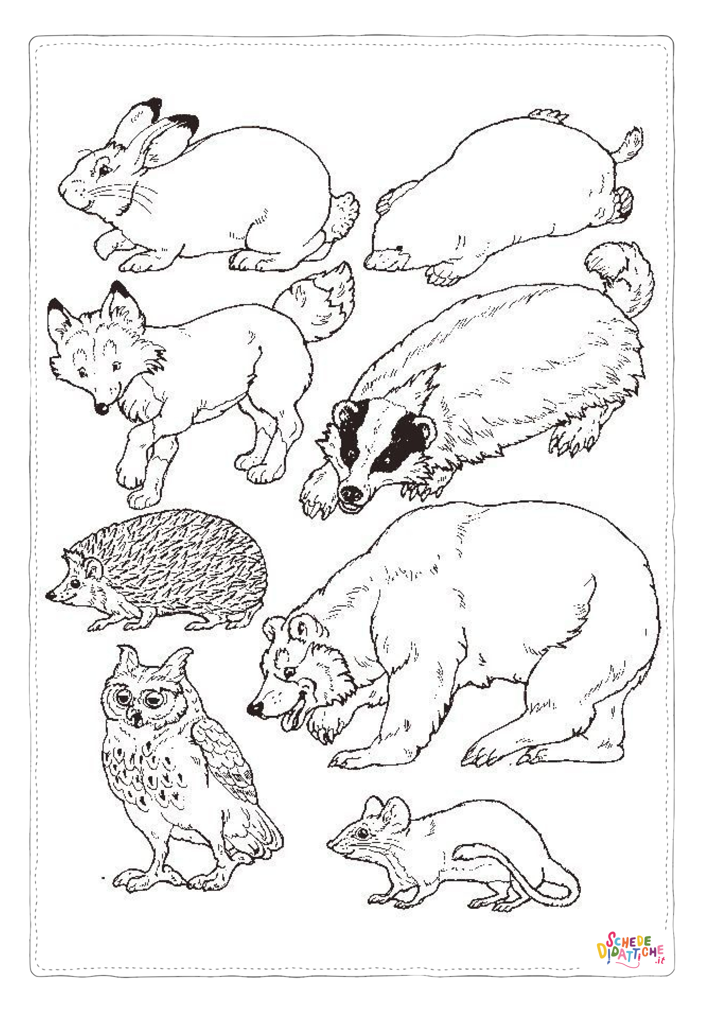Disegno "Disegno di orso da stampare e colorare" Disegno di orso da stampare e colorare