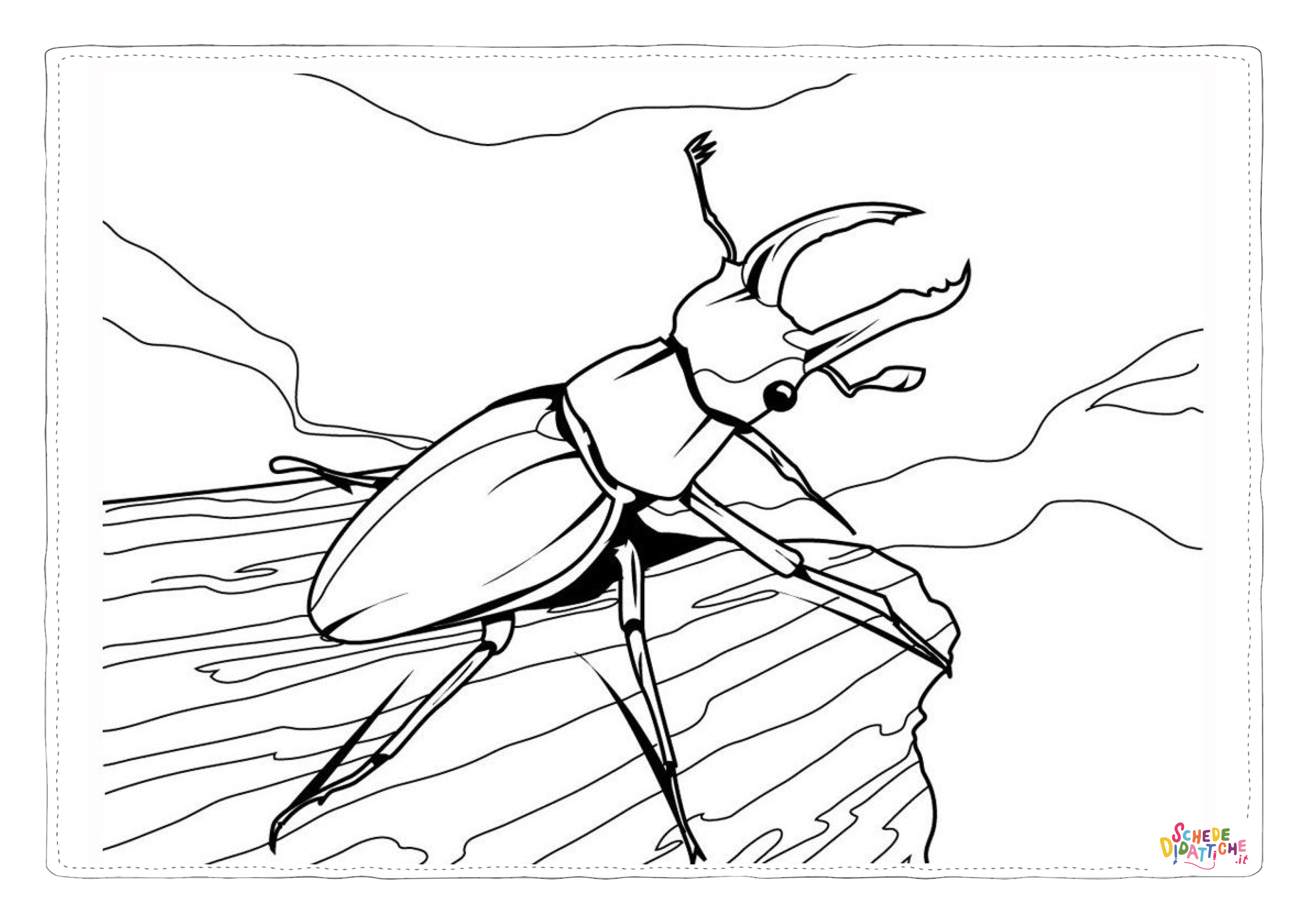 Disegno di coleottero da stampare e colorare 23