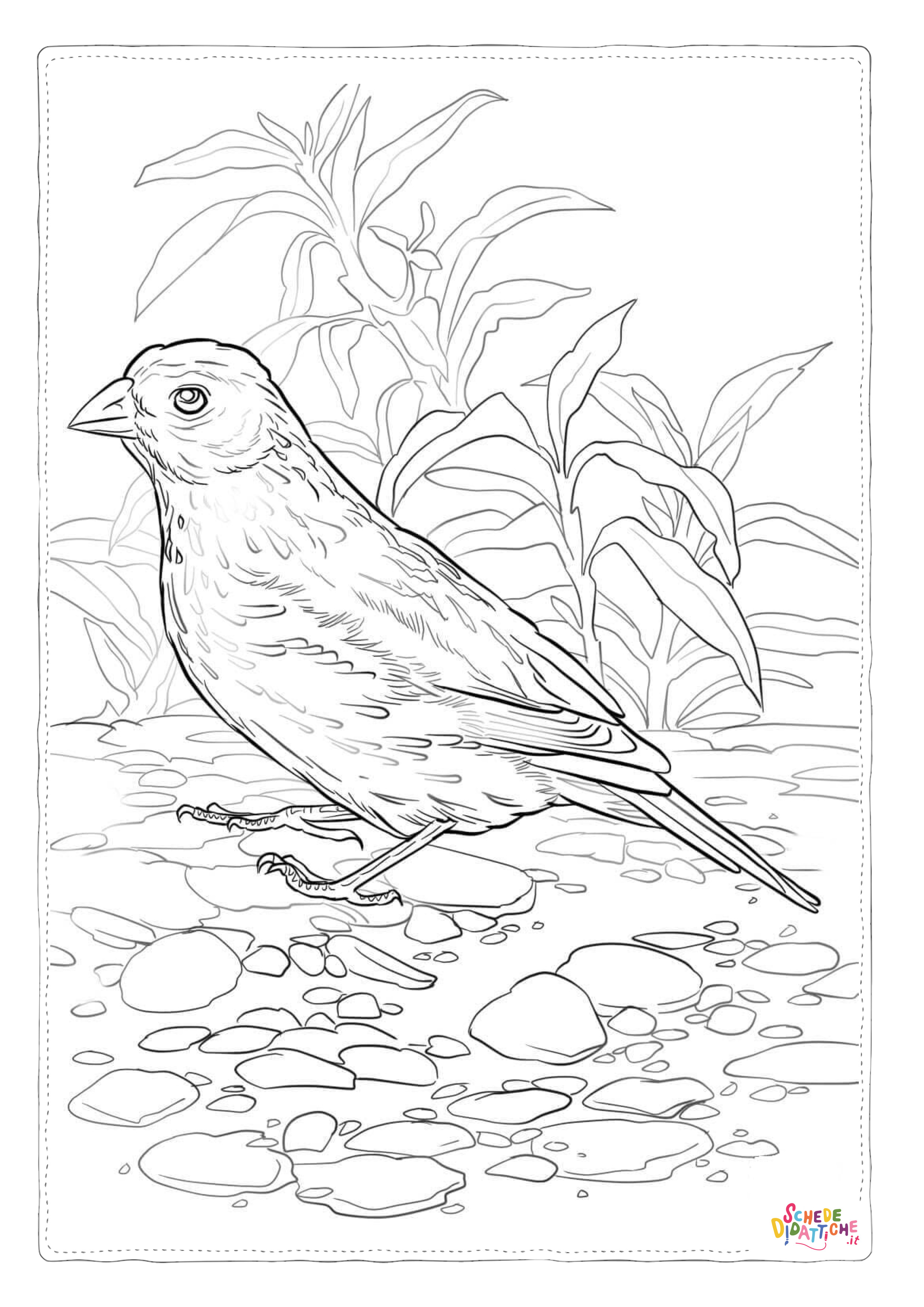 Disegno "Disegno di passero da stampare e colorare 124" Disegno di passero da stampare e colorare 124