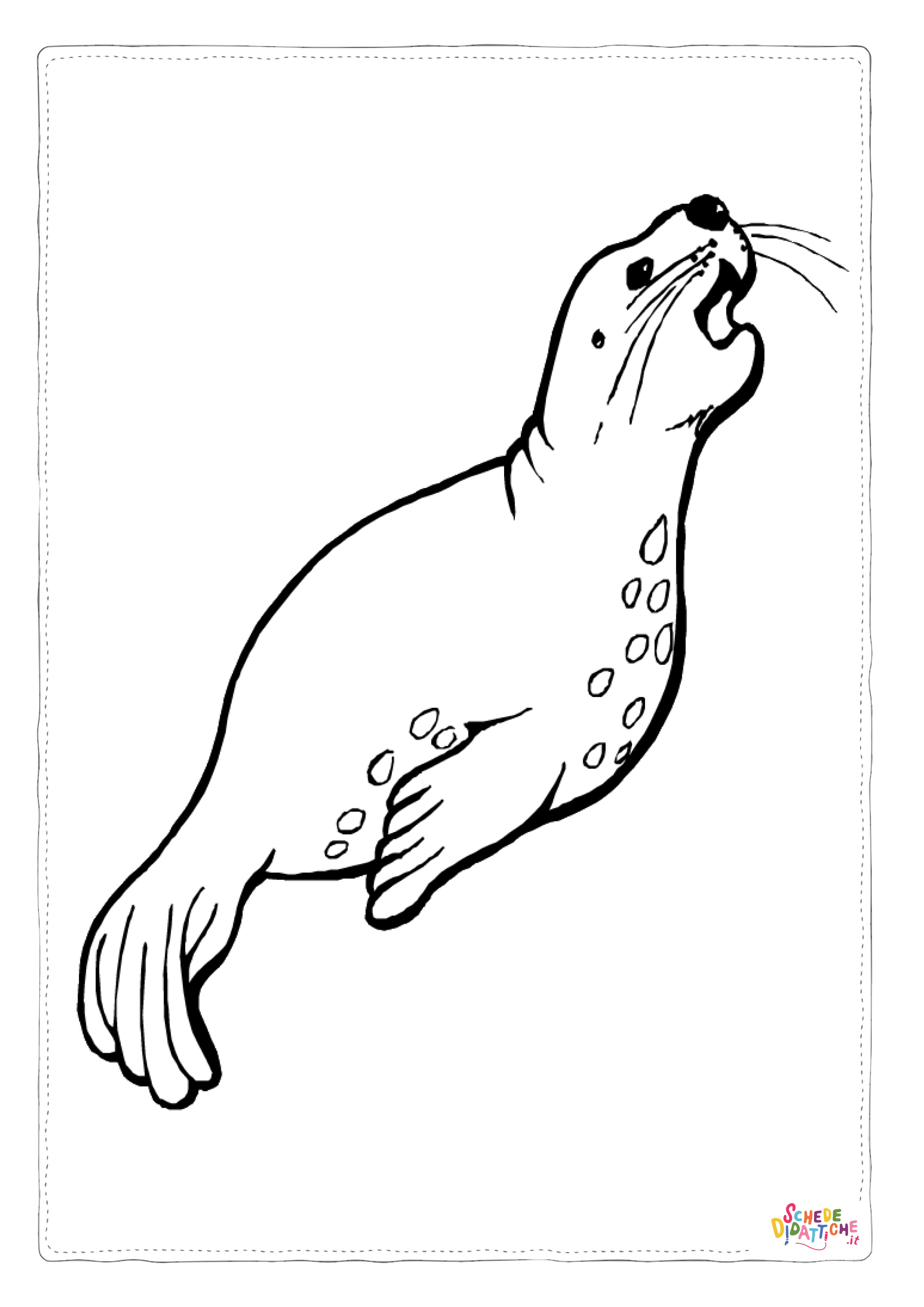 Disegno "Disegno di foca da stampare e colorare 19" Disegno di foca da stampare e colorare 19