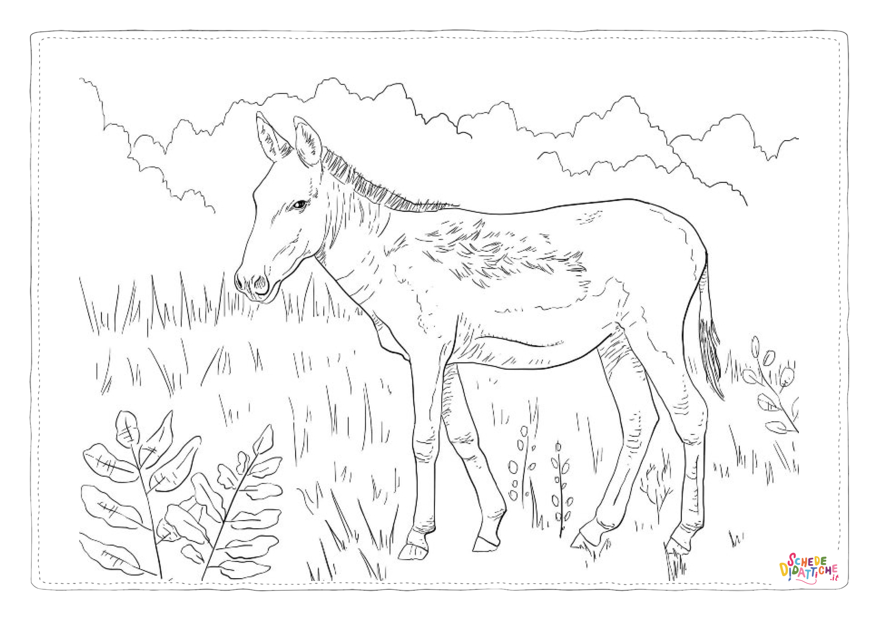 Disegno "Disegno di asino da stampare e colorare 11" Disegno di asino da stampare e colorare 11
