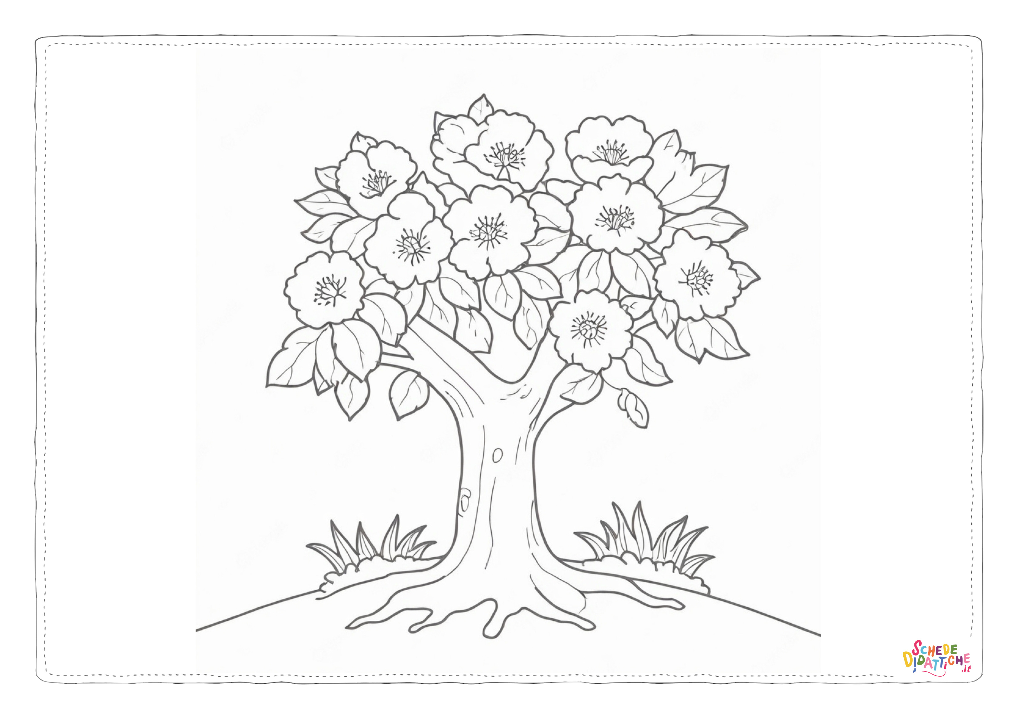 Alberi in fiore 1