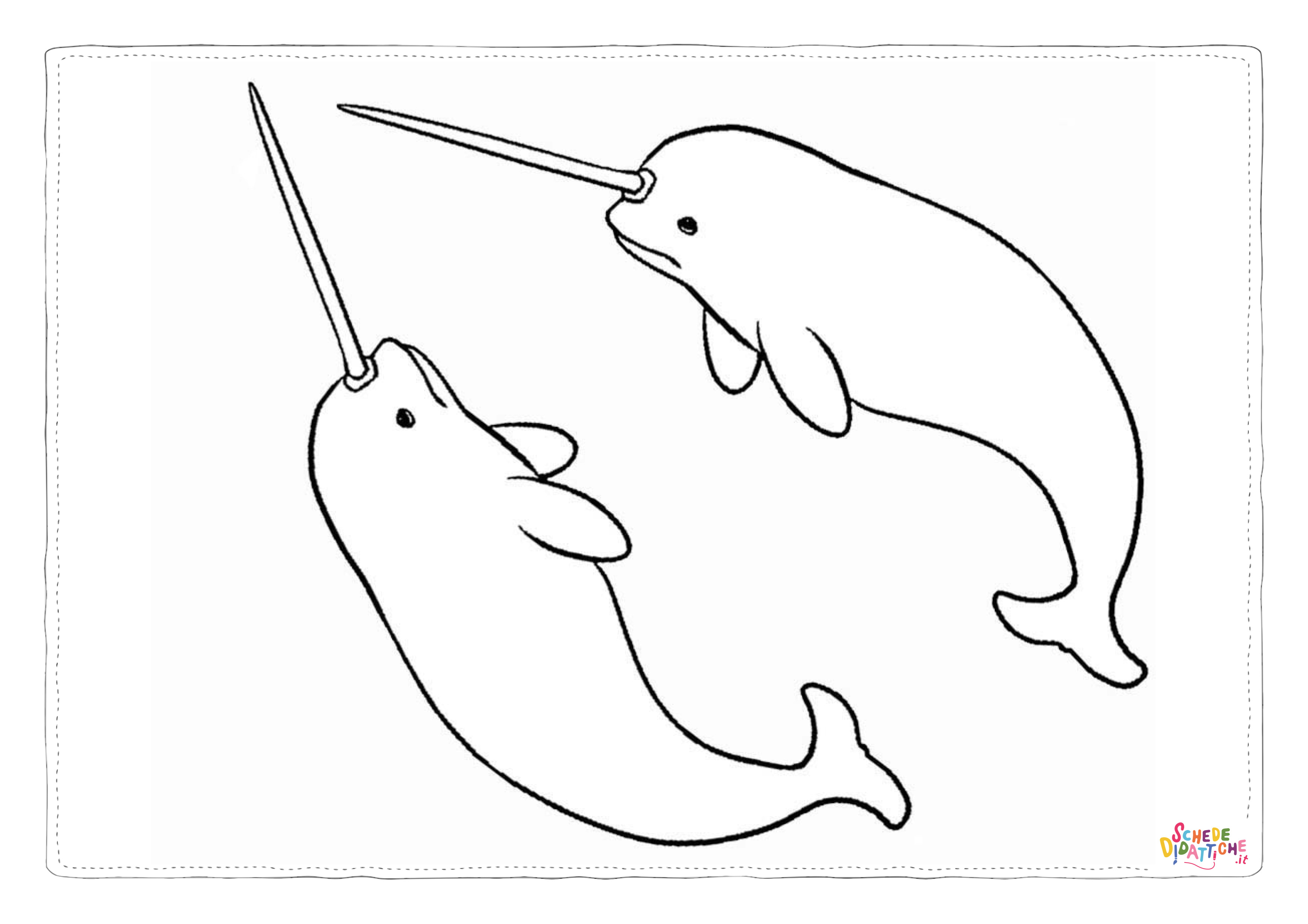 Disegno "Disegno di narvalo da stampare e colorare 2" Disegno di narvalo da stampare e colorare 2