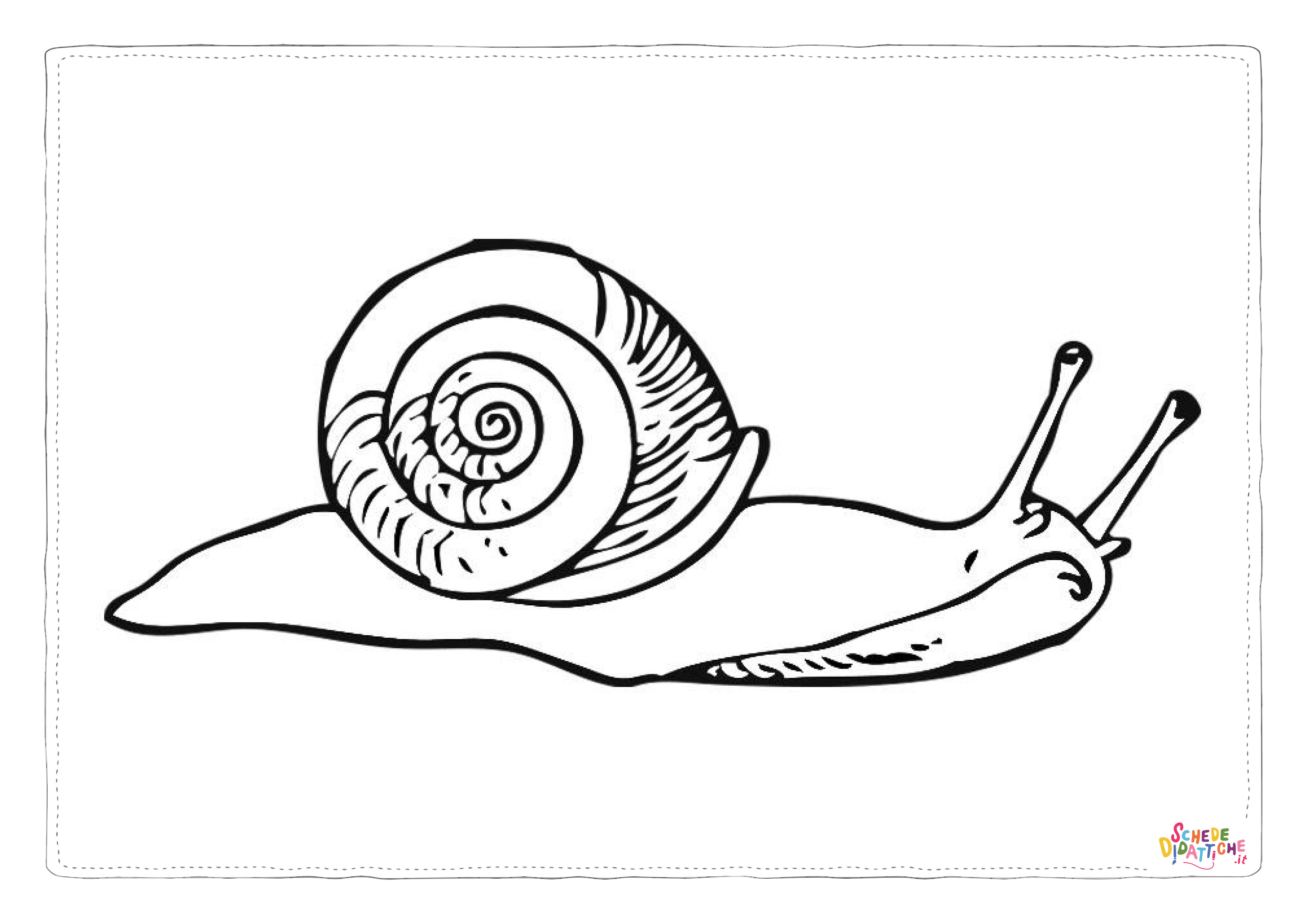 Disegno di lumaca da stampare e colorare 13