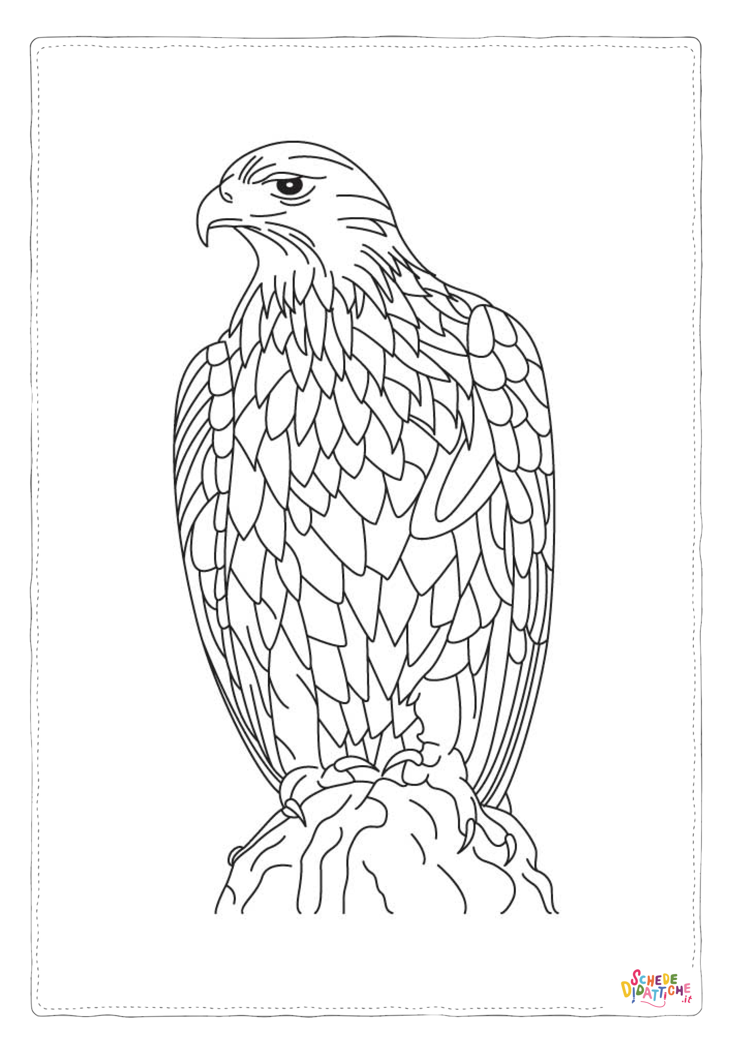 Disegno "Disegno di falco da stampare e colorare 21" Disegno di falco da stampare e colorare 21