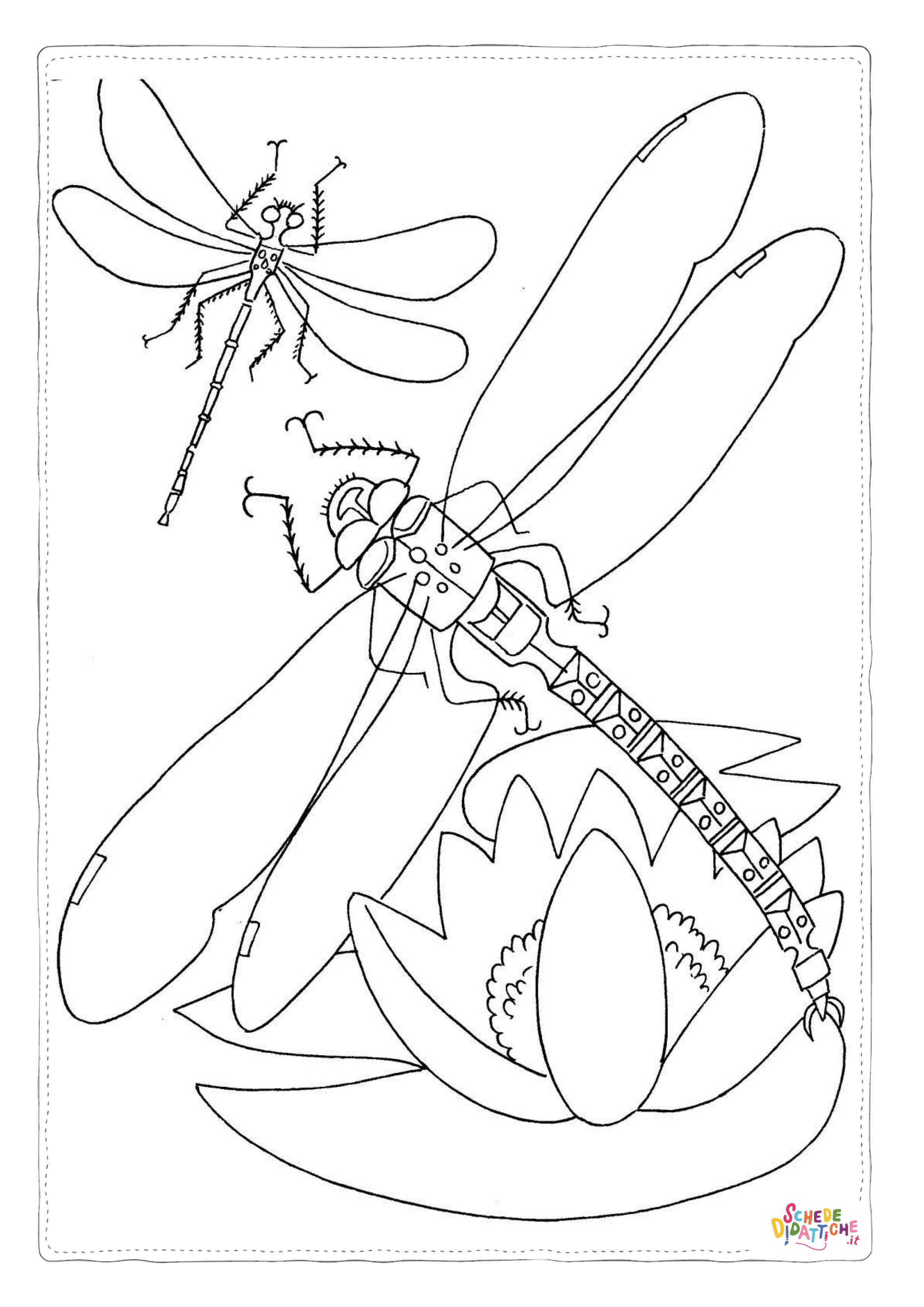 Disegno di libellula da stampare e colorare 41