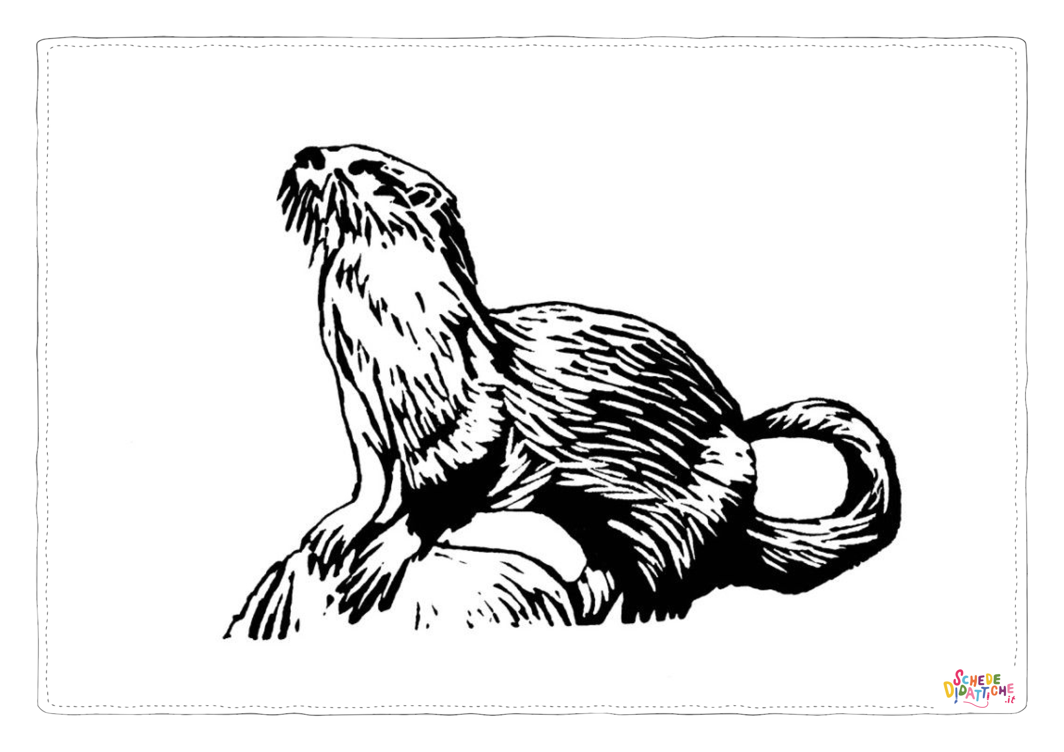 Disegno "Disegno di lontra da stampare e colorare 2" Disegno di lontra da stampare e colorare 2
