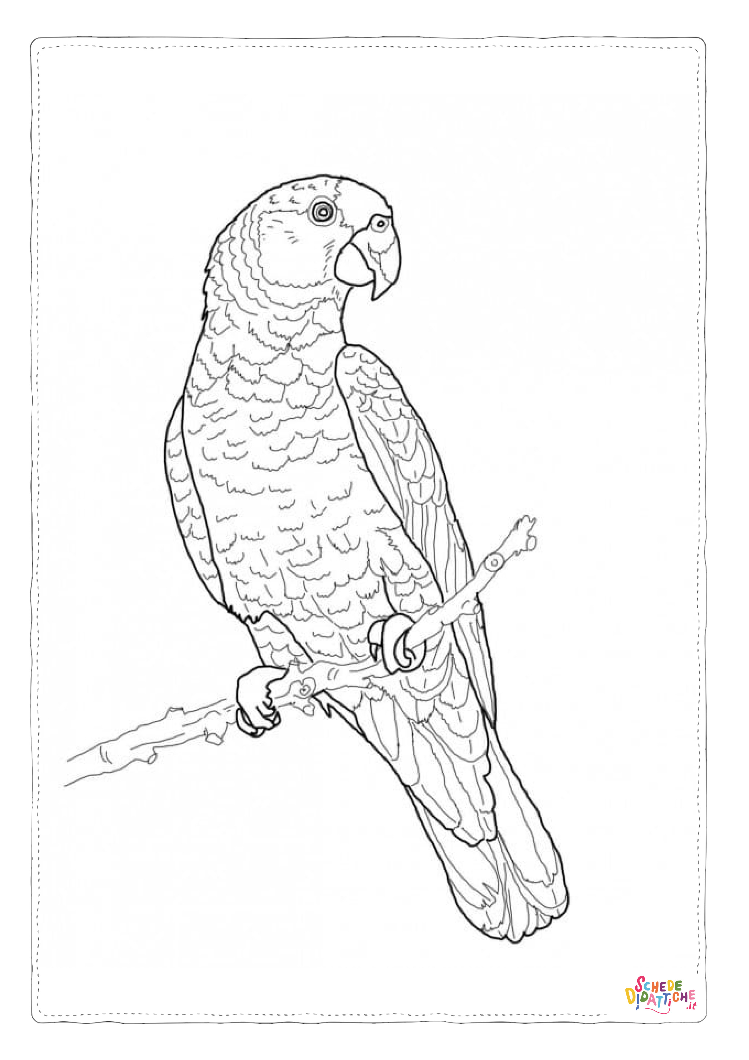 Disegno "Disegno di pappagallo da stampare e colorare 108" Disegno di pappagallo da stampare e colorare 108