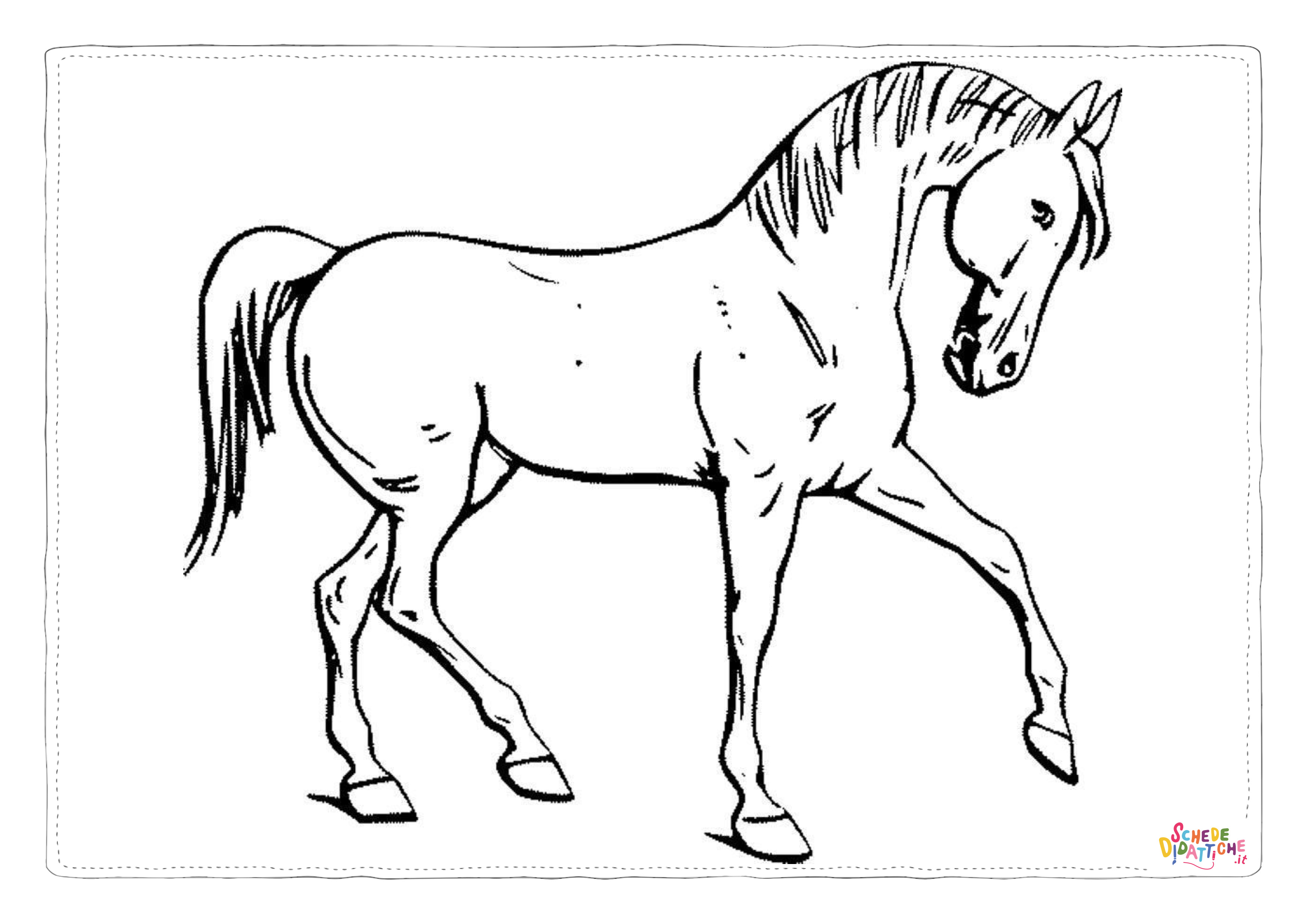 Disegno "Disegno di cavallo da stampare e colorare 217" Disegno di cavallo da stampare e colorare 217