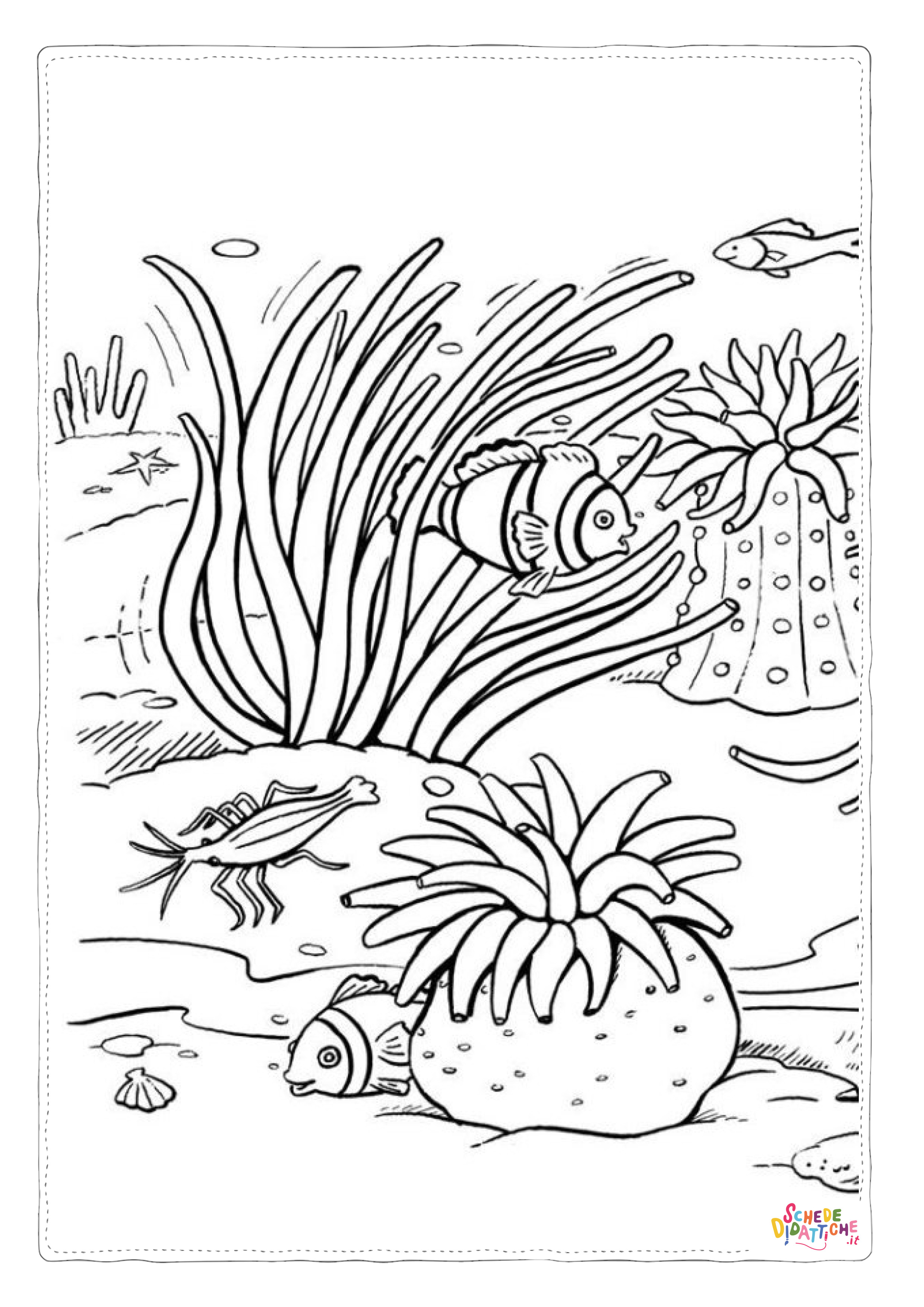 Disegno "Disegno di corallo da stampare e colorare" Disegno di corallo da stampare e colorare