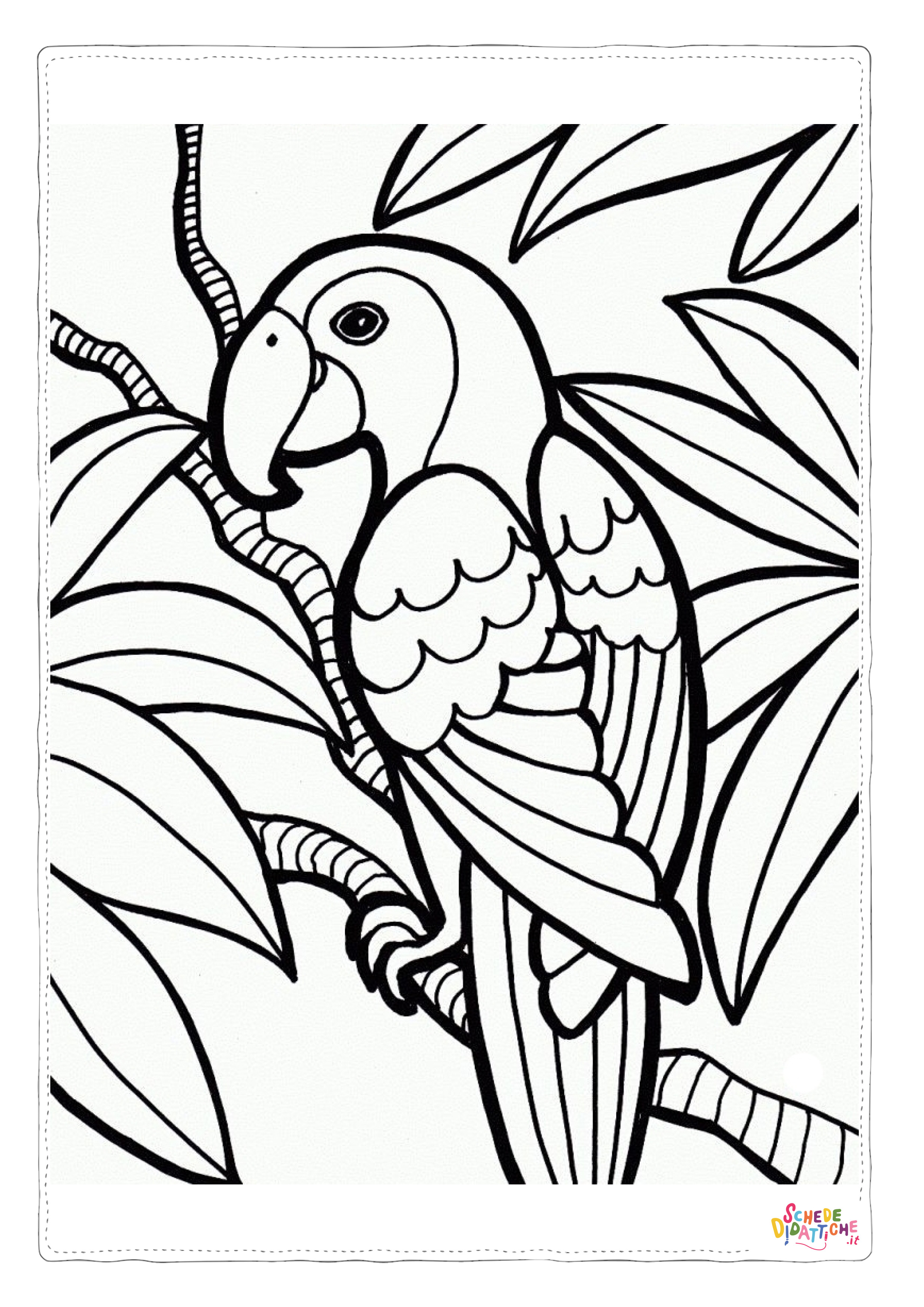 Disegno "Disegno di pappagallo da stampare e colorare 40" Disegno di pappagallo da stampare e colorare 40