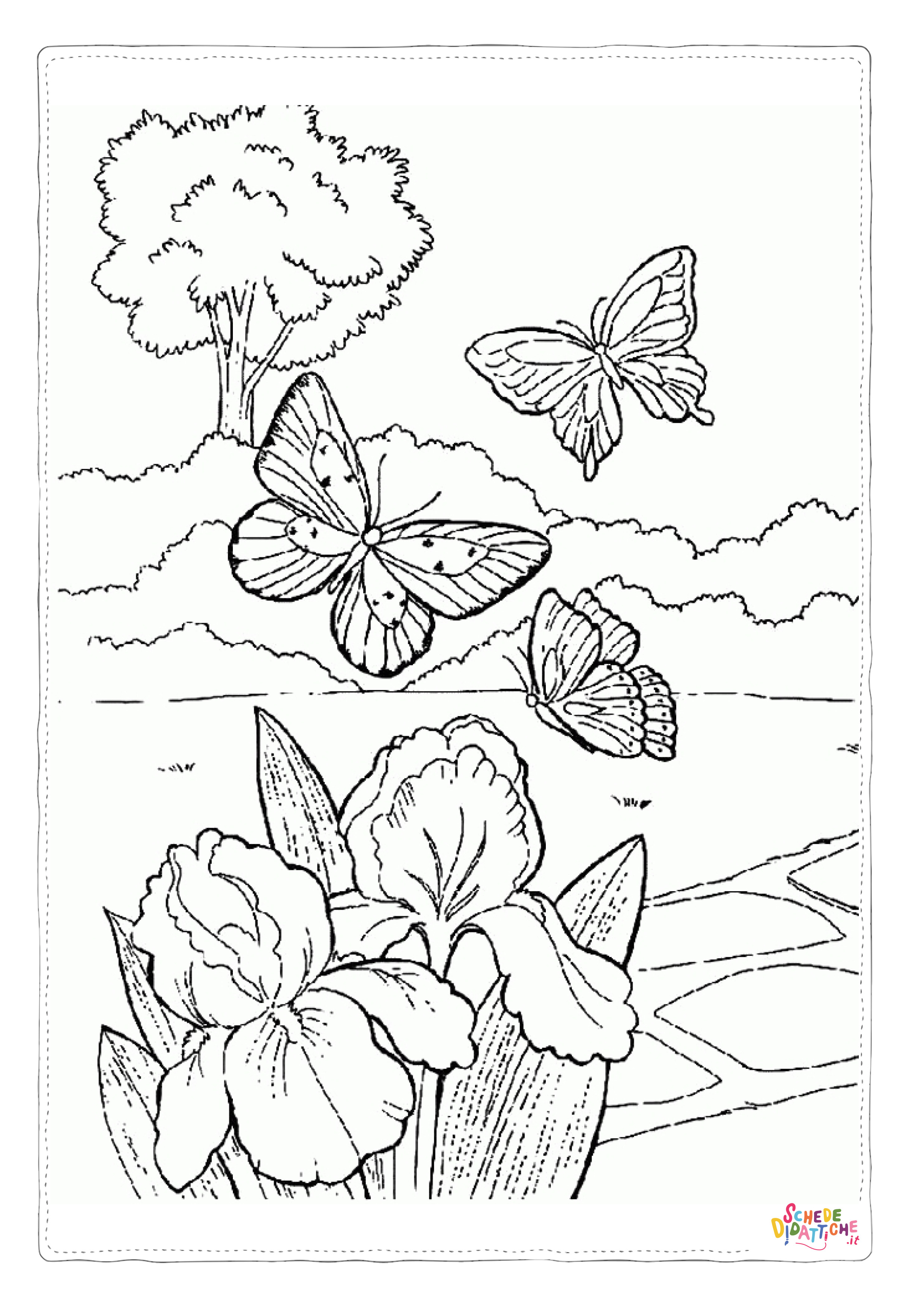 Disegno "Disegno di farfalla da stampare e colorare 346" Disegno di farfalla da stampare e colorare 346