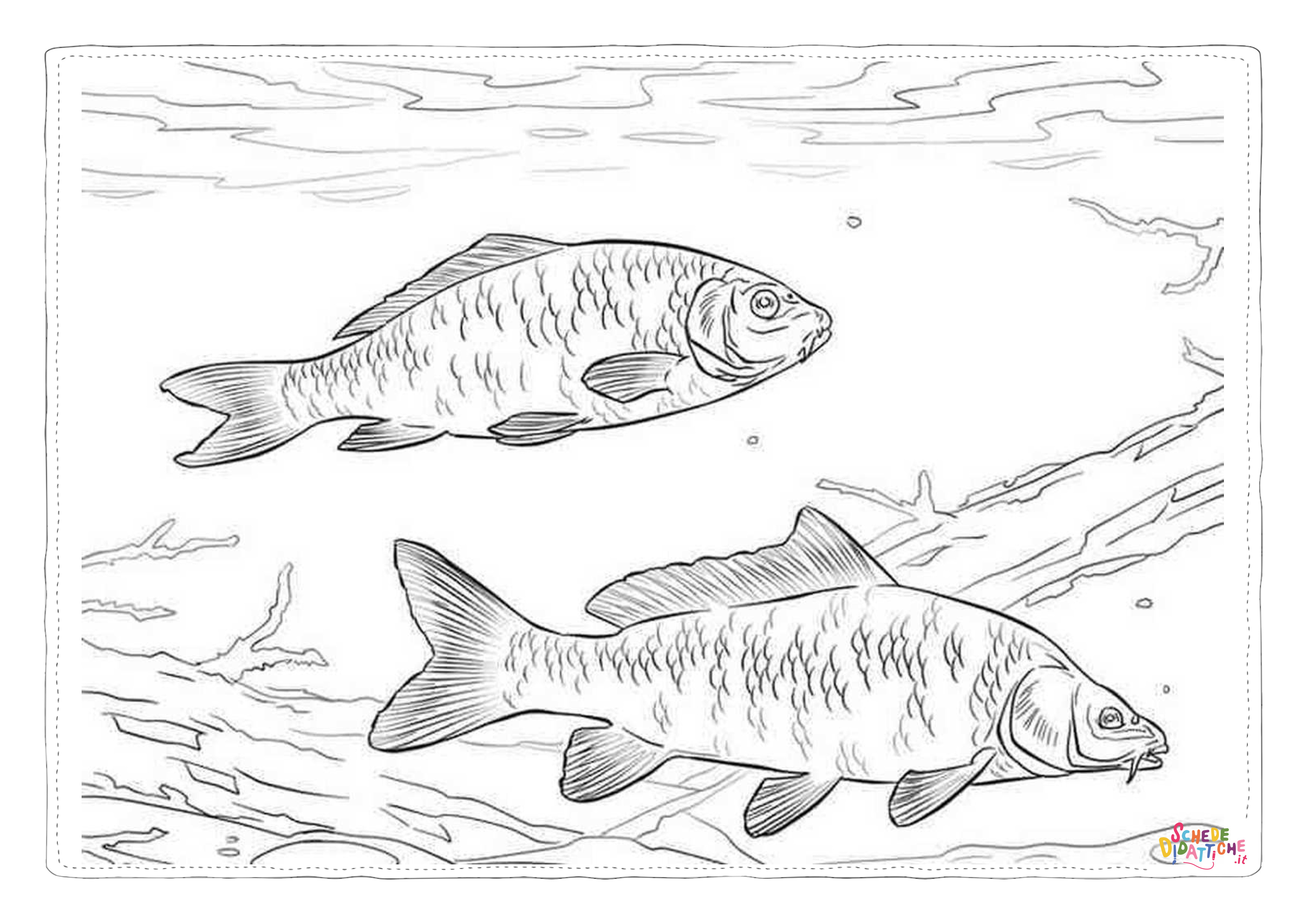 Disegno "Disegno di pesce da stampare e colorare 191" Disegno di pesce da stampare e colorare 191