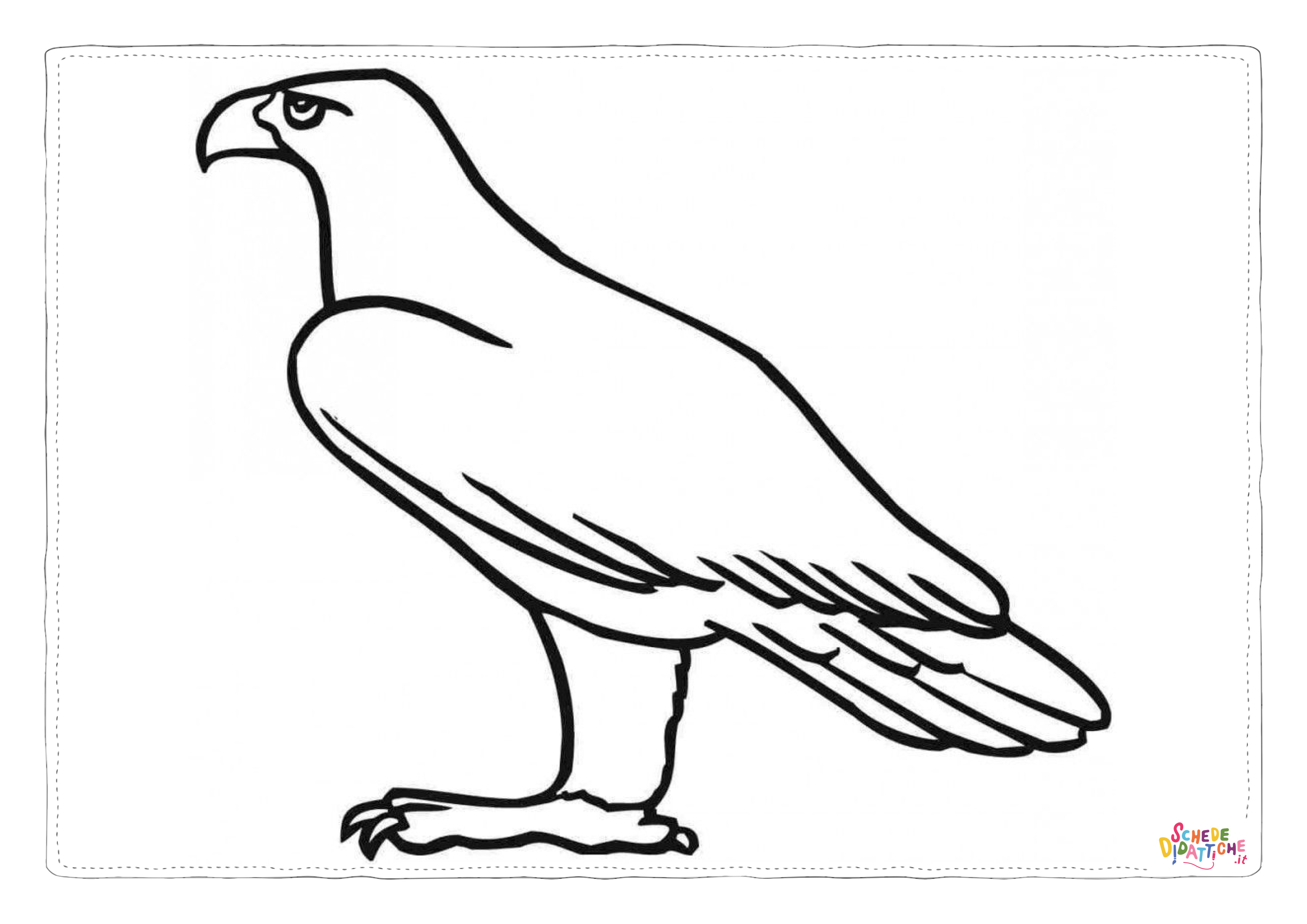Disegno "Disegno di falco da stampare e colorare 8" Disegno di falco da stampare e colorare 8