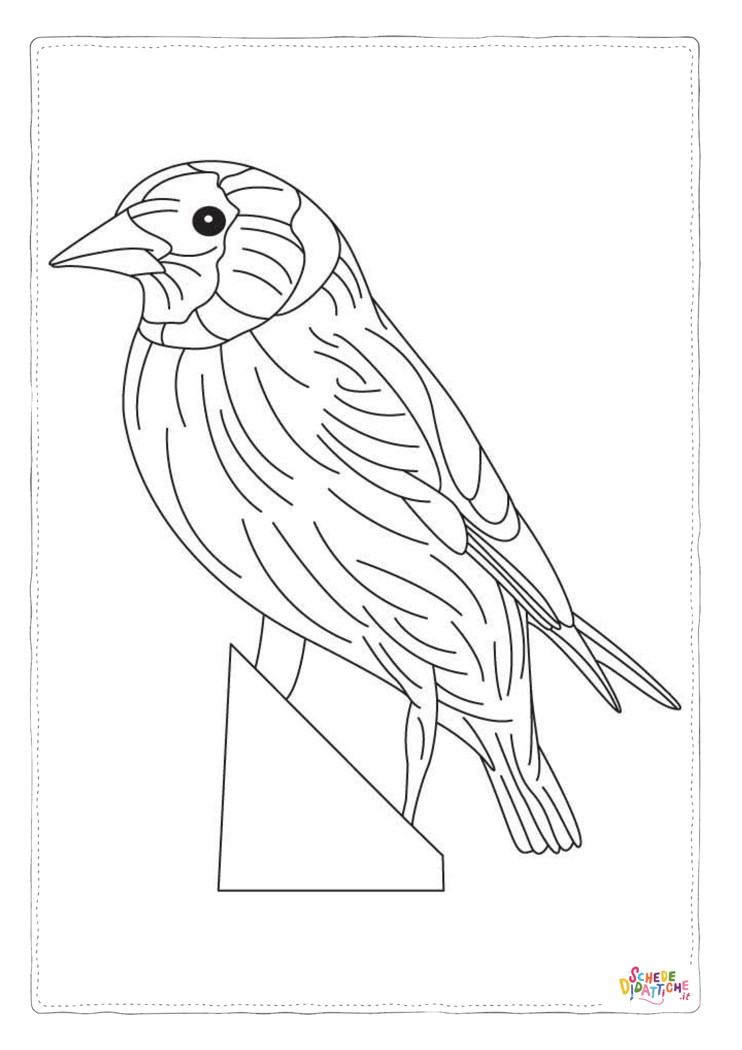Disegno "Disegno di passero da stampare e colorare 32" Disegno di passero da stampare e colorare 32