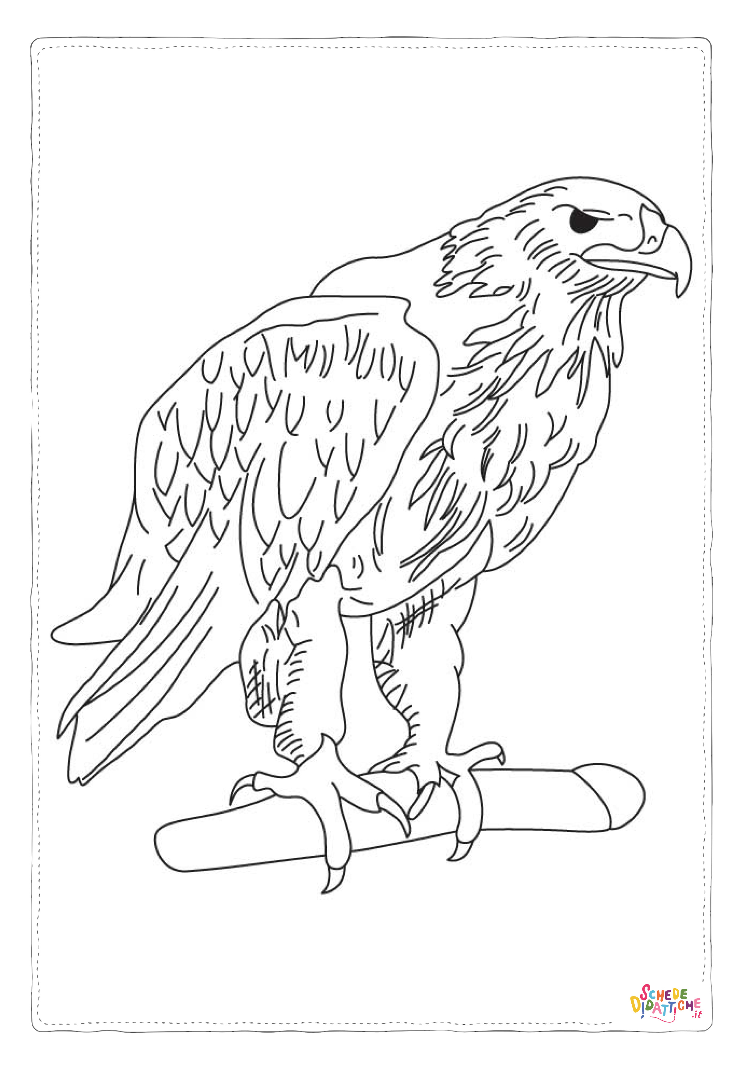 Disegno di falco da stampare e colorare 19