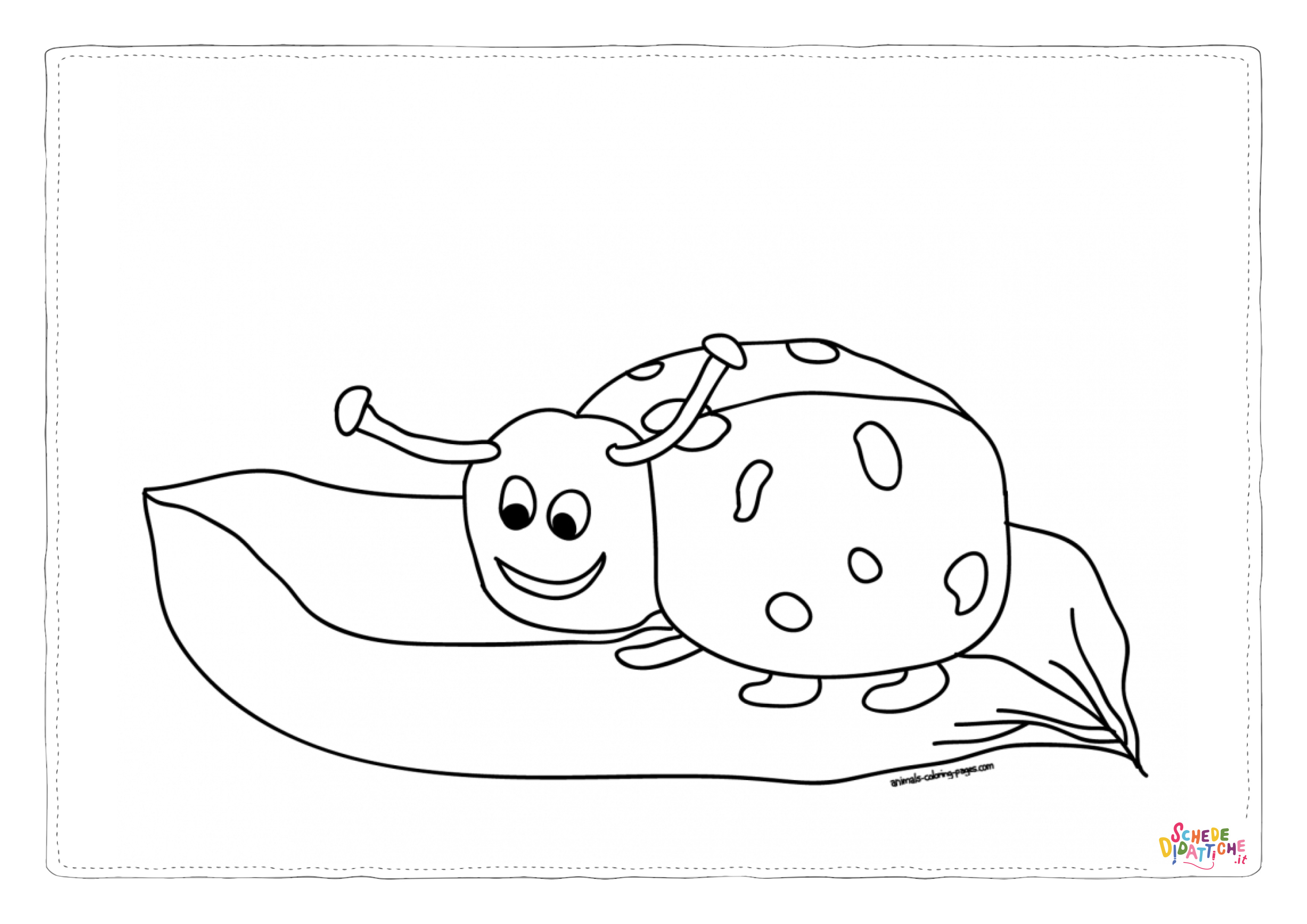 Disegno "Disegno di coccinella da stampare e colorare 31" Disegno di coccinella da stampare e colorare 31