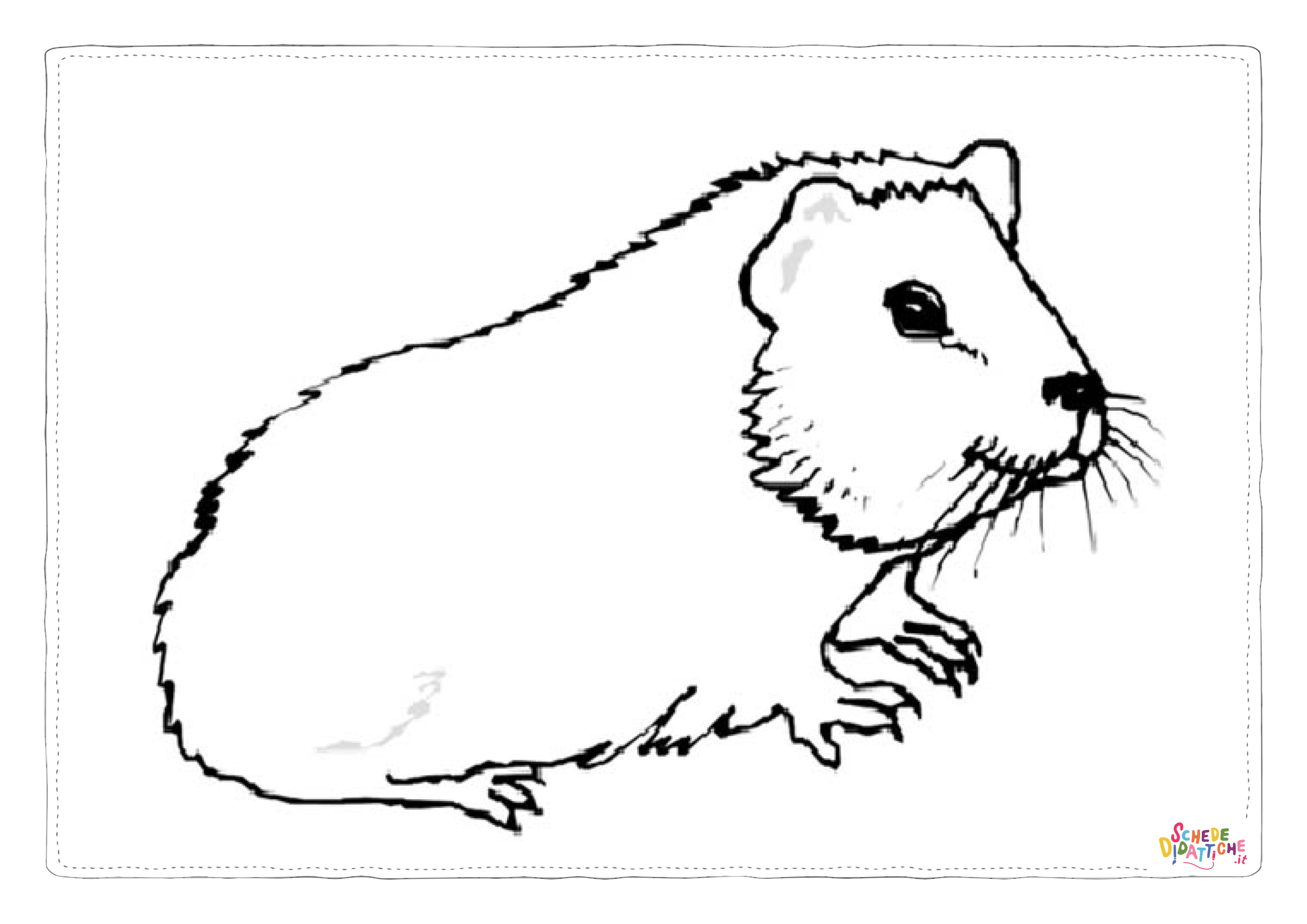 Disegno di marmotta da stampare e colorare 3