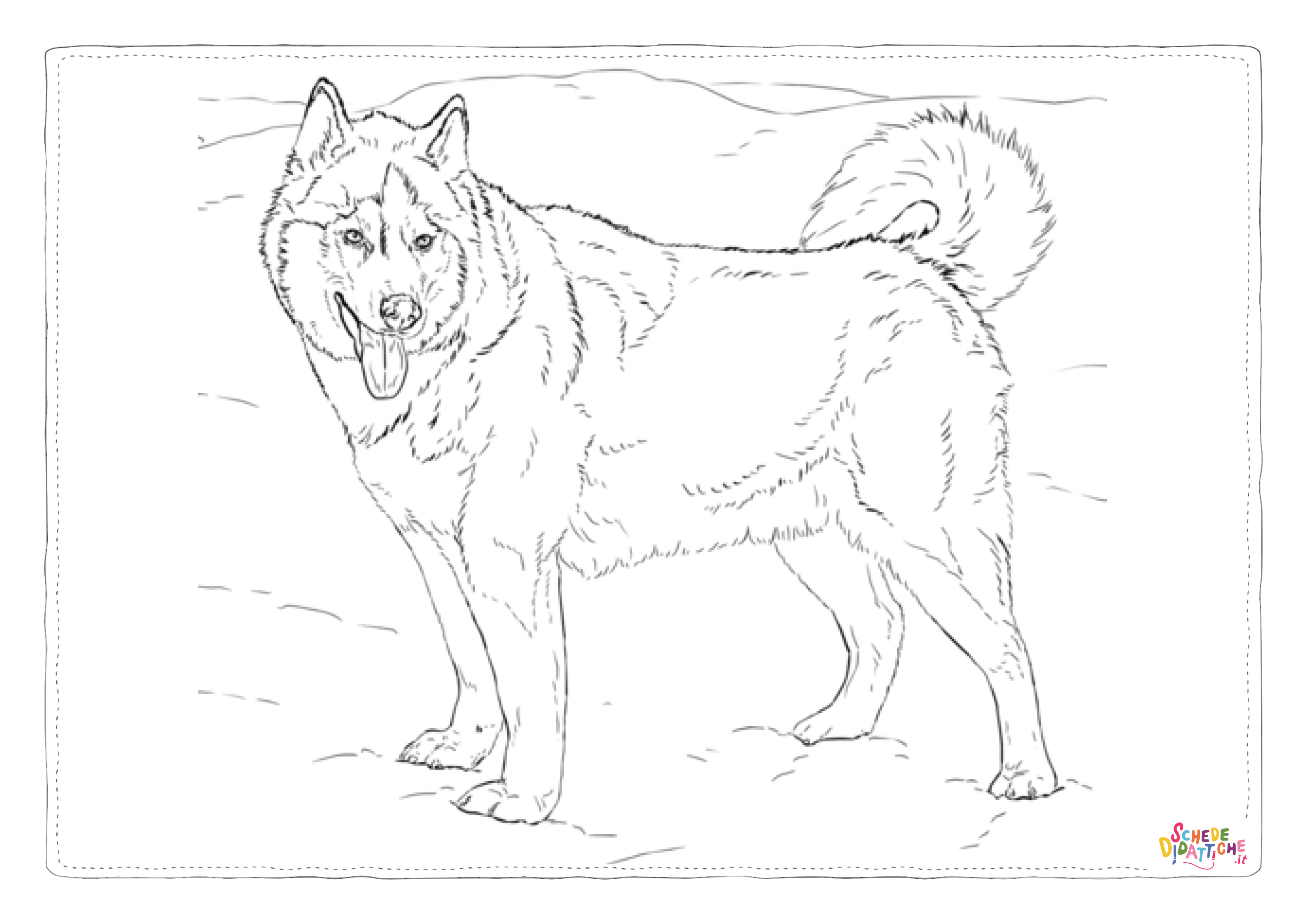 Disegno "Disegno di cane da stampare e colorare 11" Disegno di cane da stampare e colorare 11