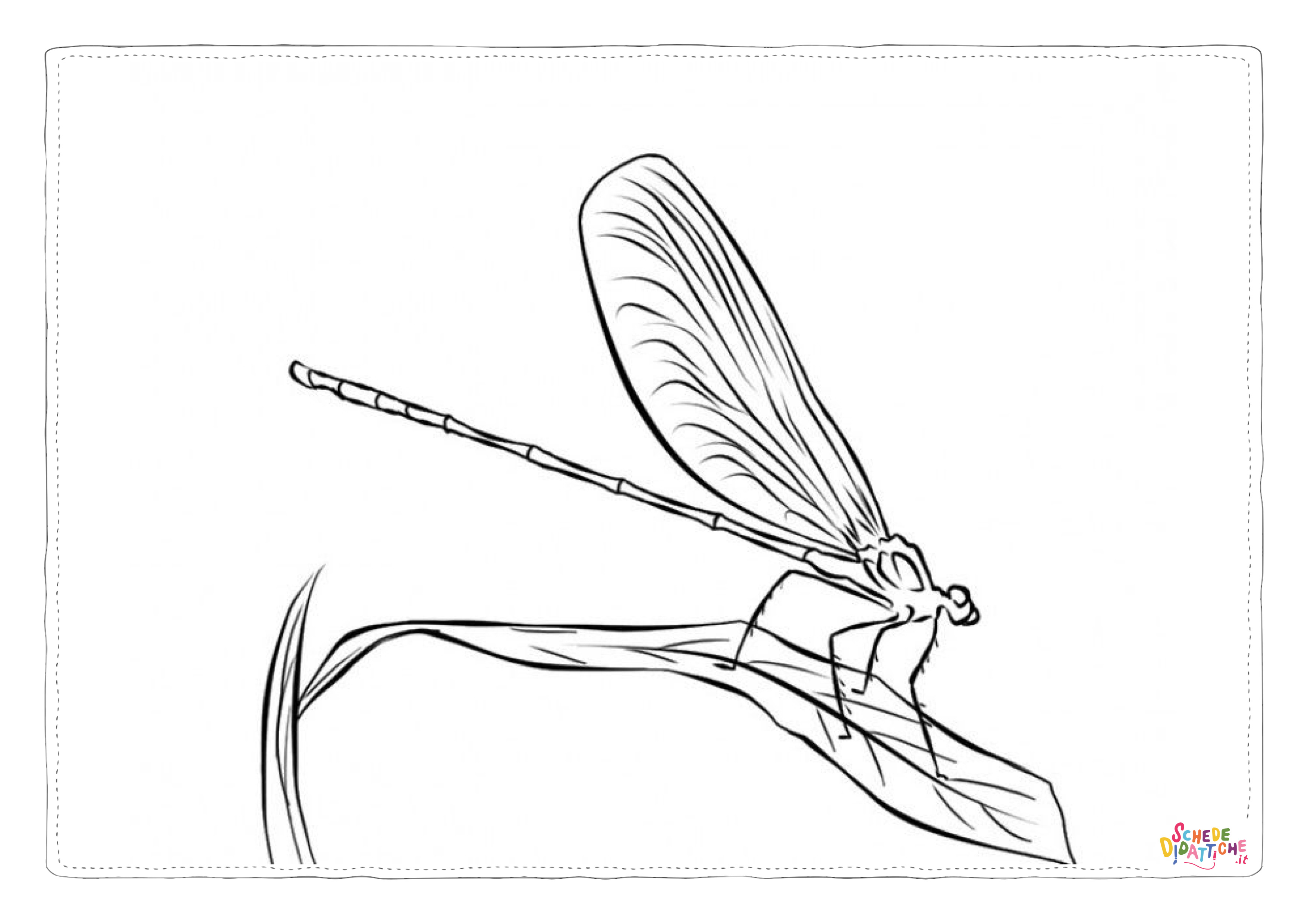 Disegno di libellula da stampare e colorare 37