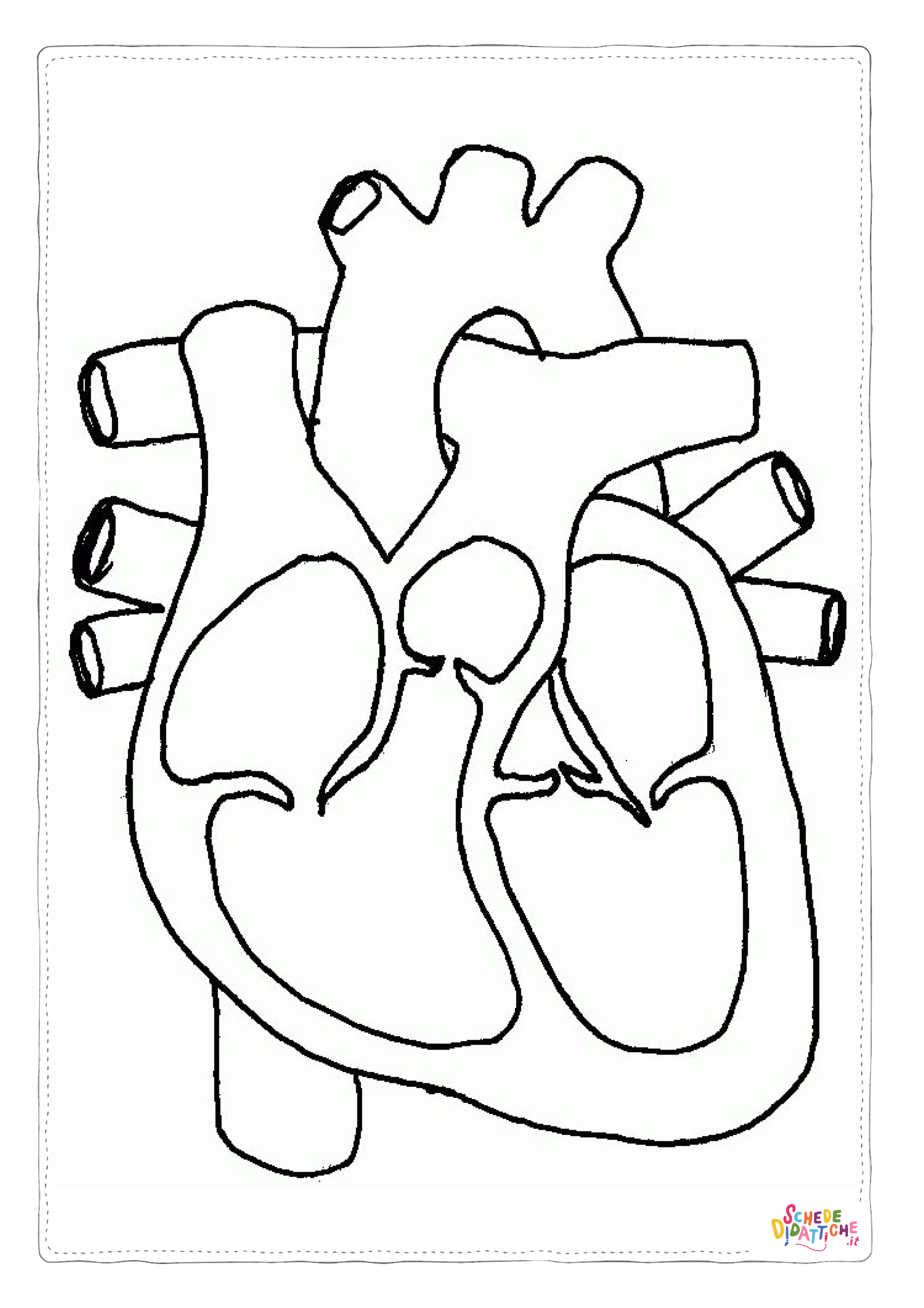 Disegno di parti del corpo da stampare e colorare 2