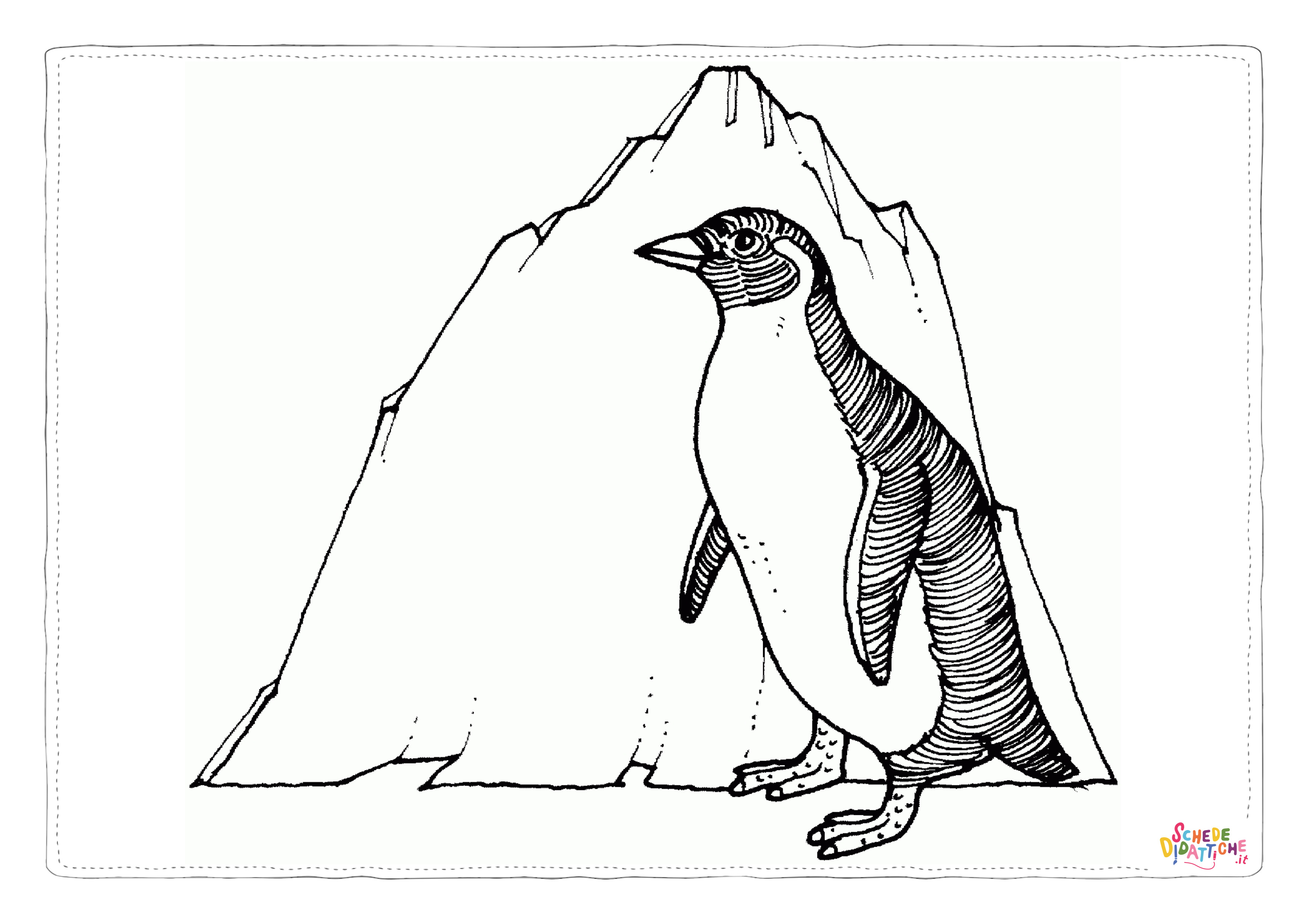 Disegno di pinguino da stampare e colorare 51