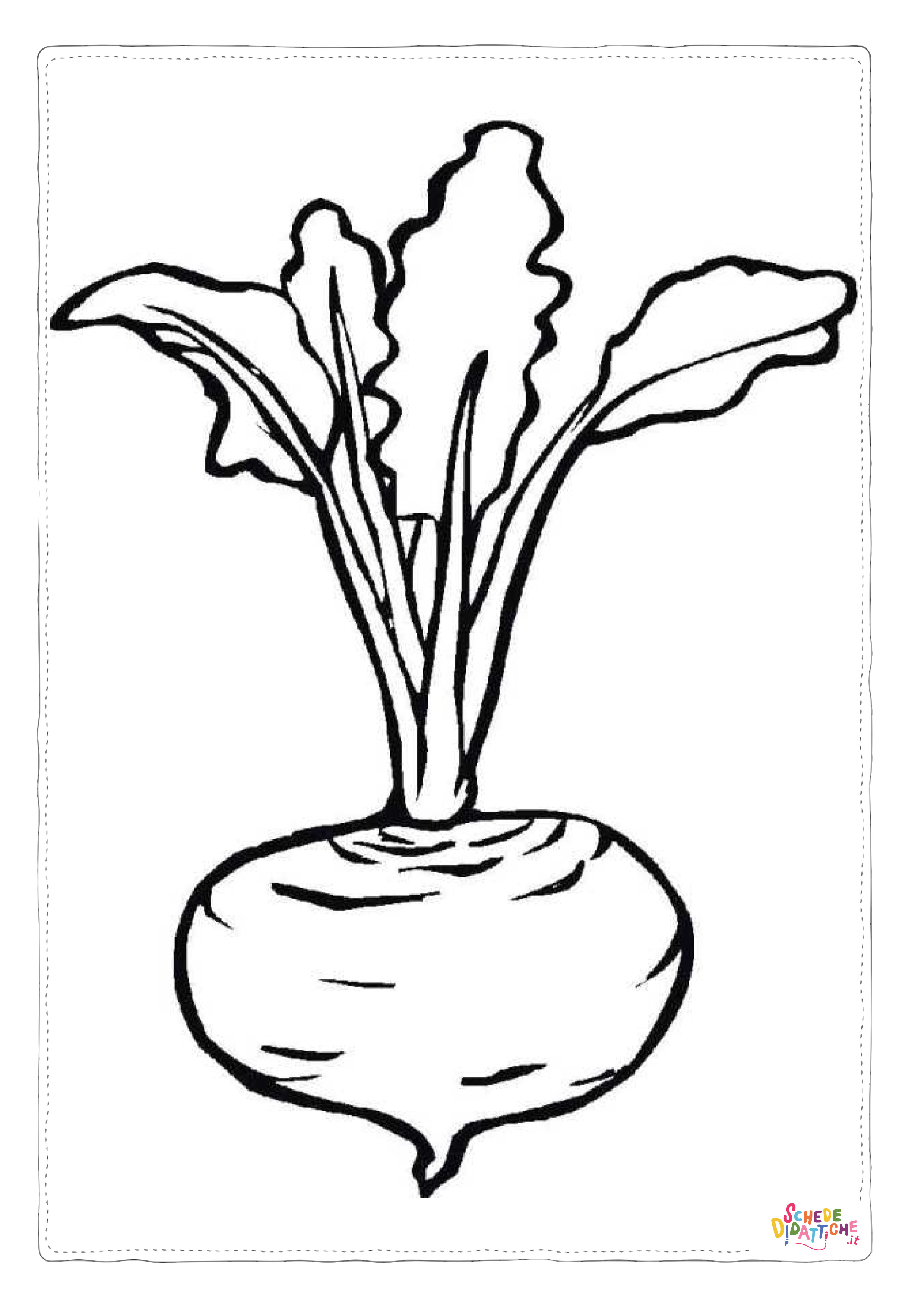 Disegno di rapa da stampare e colorare 2