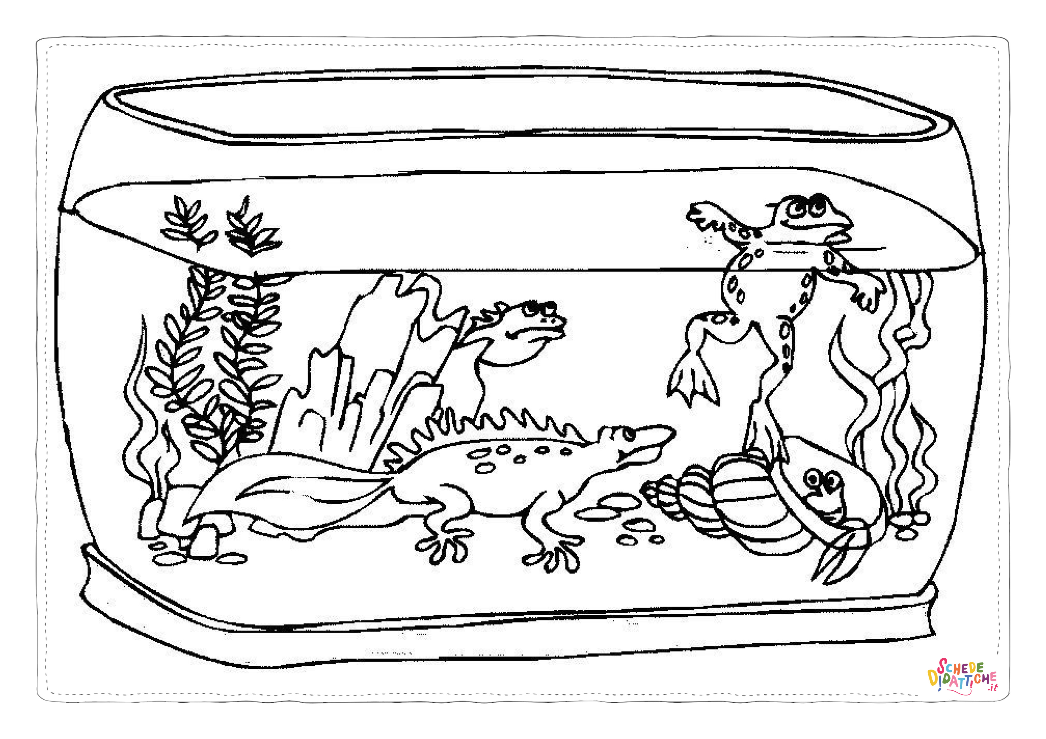 Disegno "Disegno di pesce da stampare e colorare 291" Disegno di pesce da stampare e colorare 291
