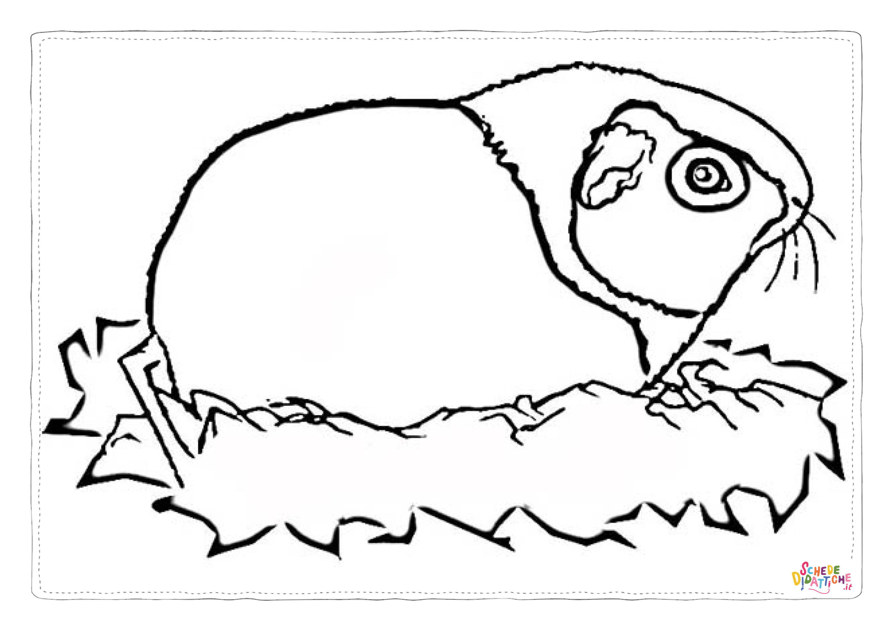 Disegno "Disegno di criceto da stampare e colorare 4" Disegno di criceto da stampare e colorare 4