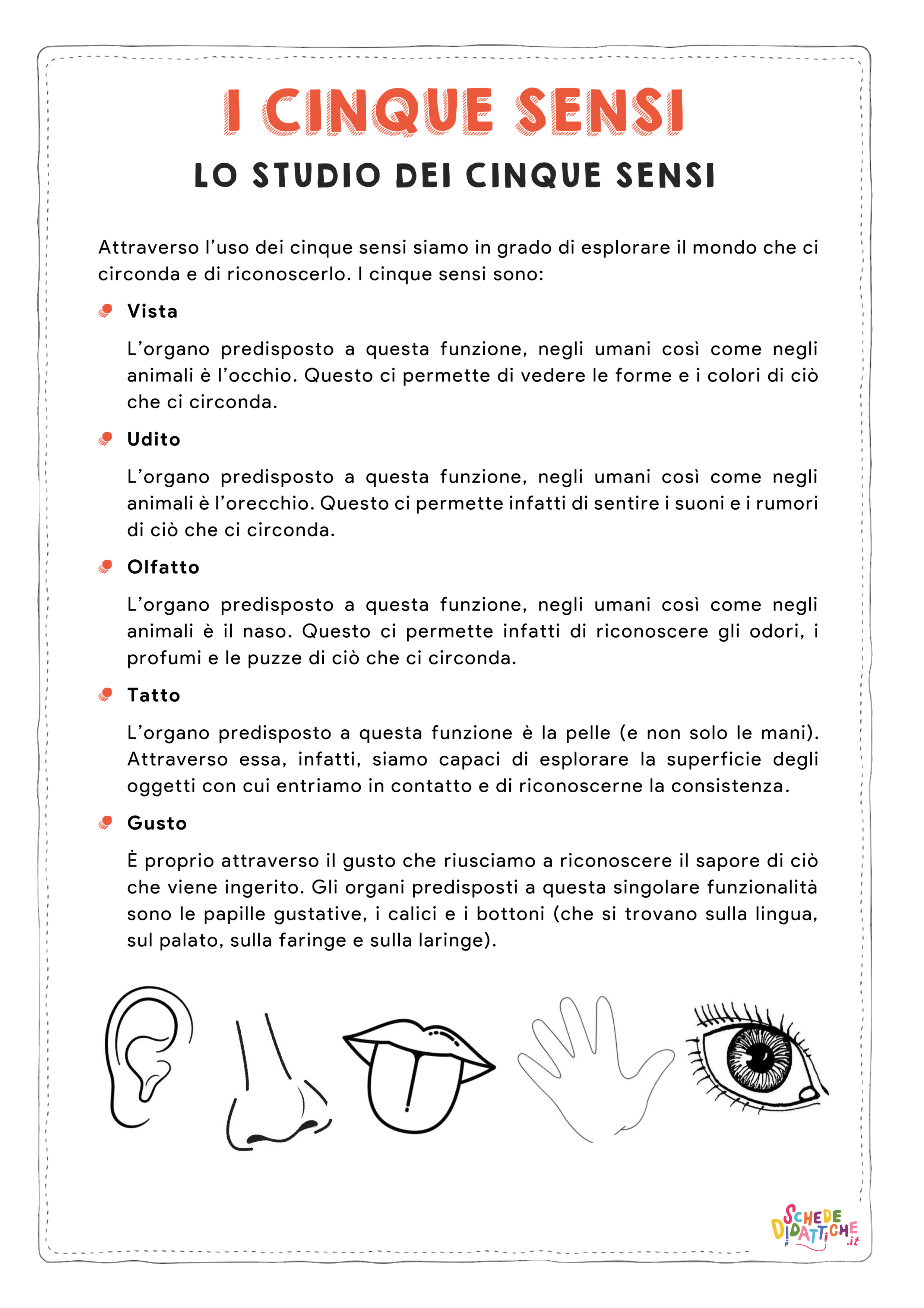 Disegno "I cinque sensi" I cinque sensi