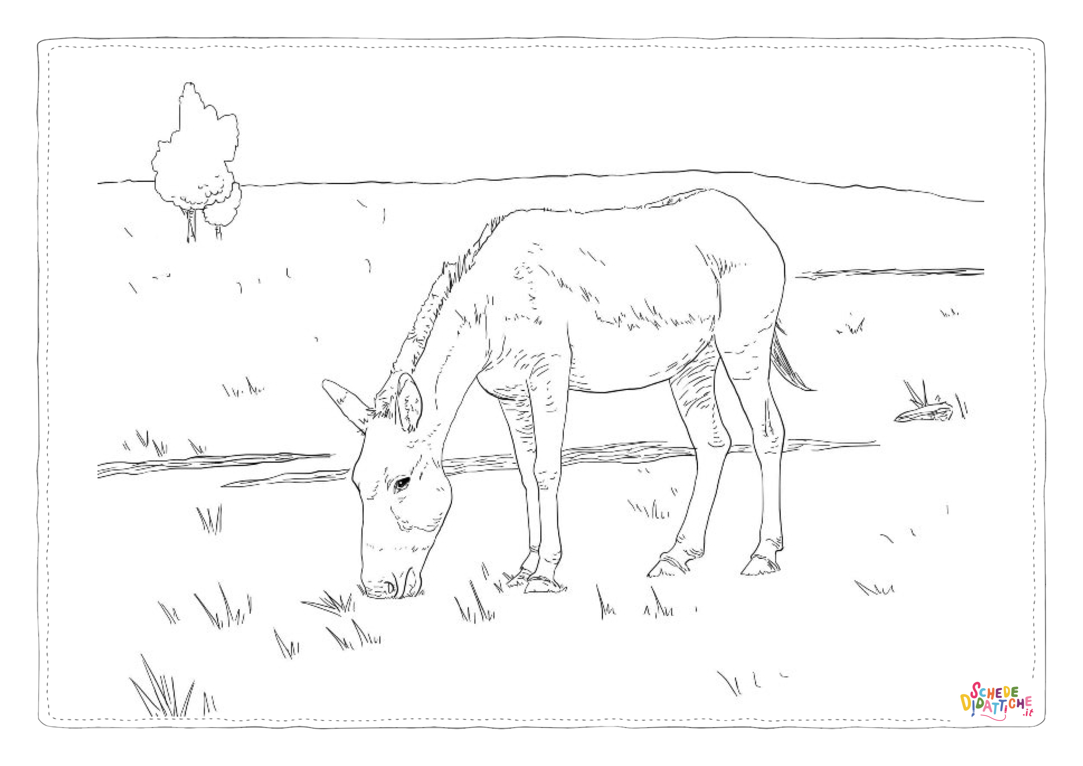 Disegno "Disegno di asino da stampare e colorare 10" Disegno di asino da stampare e colorare 10