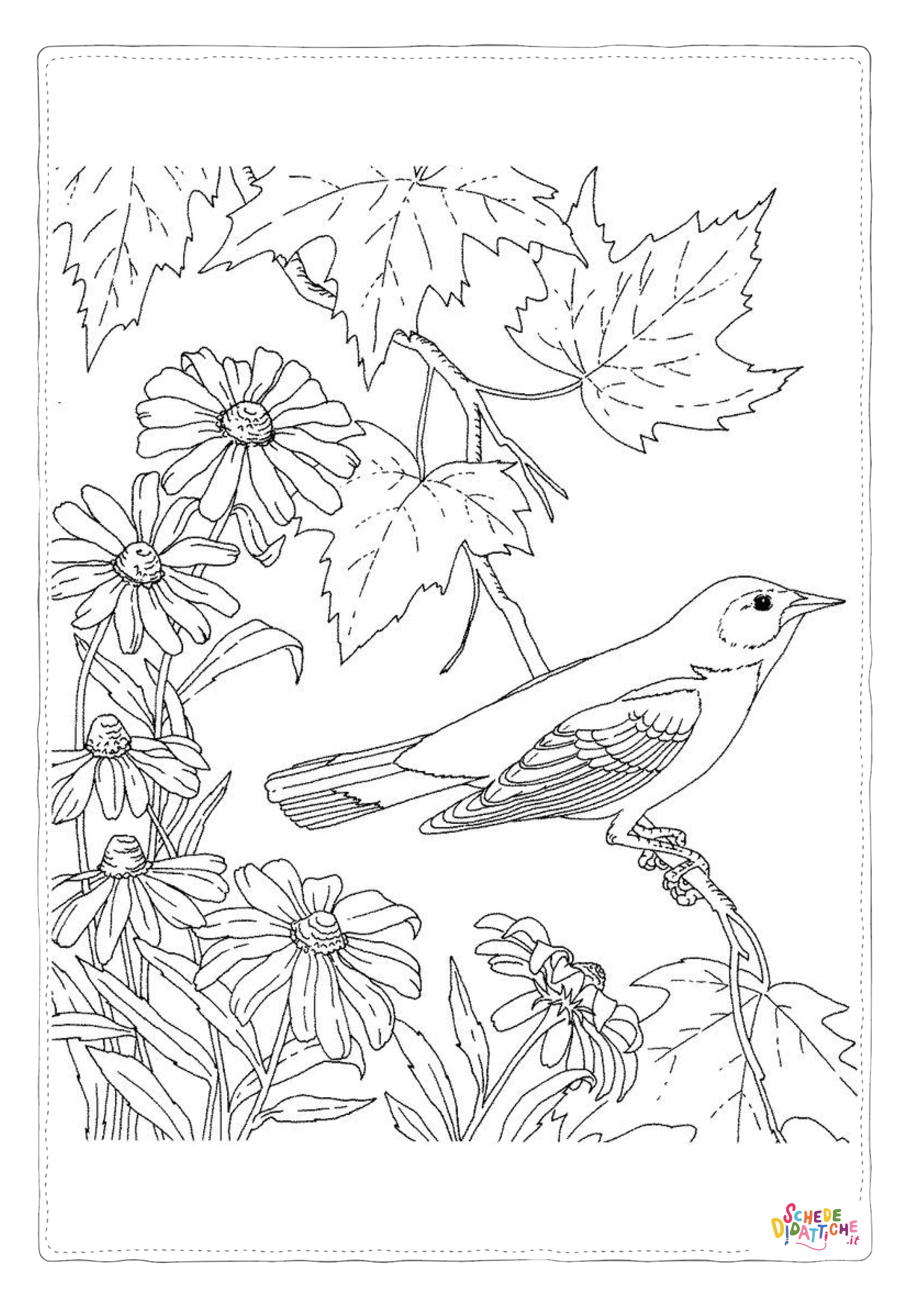 Disegno "Disegno di passero da stampare e colorare 103" Disegno di passero da stampare e colorare 103