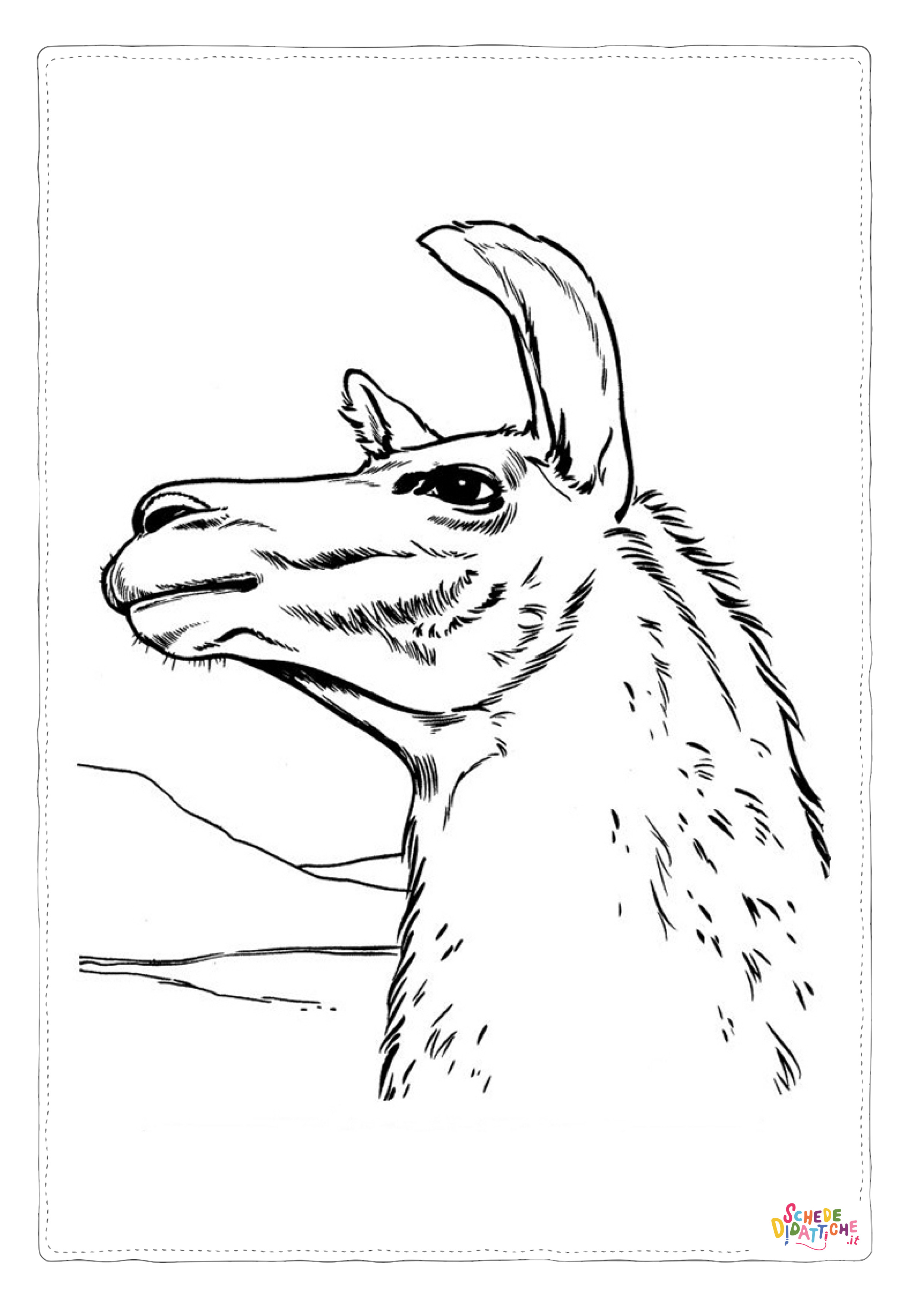 Disegno "Disegno di lama da stampare e colorare 8" Disegno di lama da stampare e colorare 8